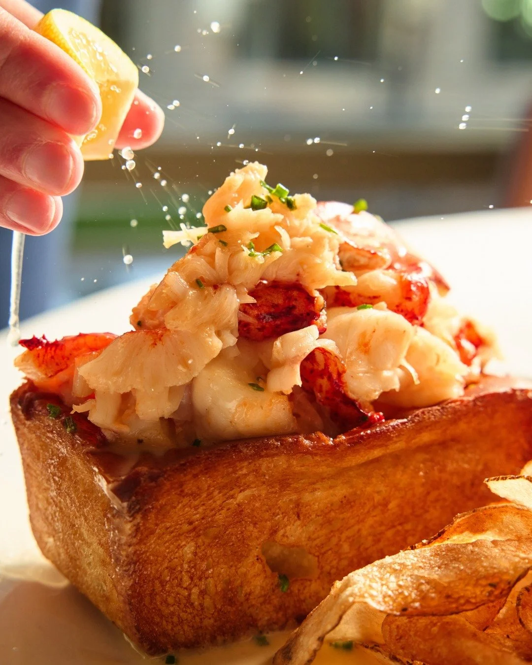 Juicy lobster, a squeeze of fresh lemon, and a buttery, toasted brioche roll. Sorry if we made you hungry (well, not really 😉). We'll see you on Stuart Street.

📸 @briansamuelsphotography