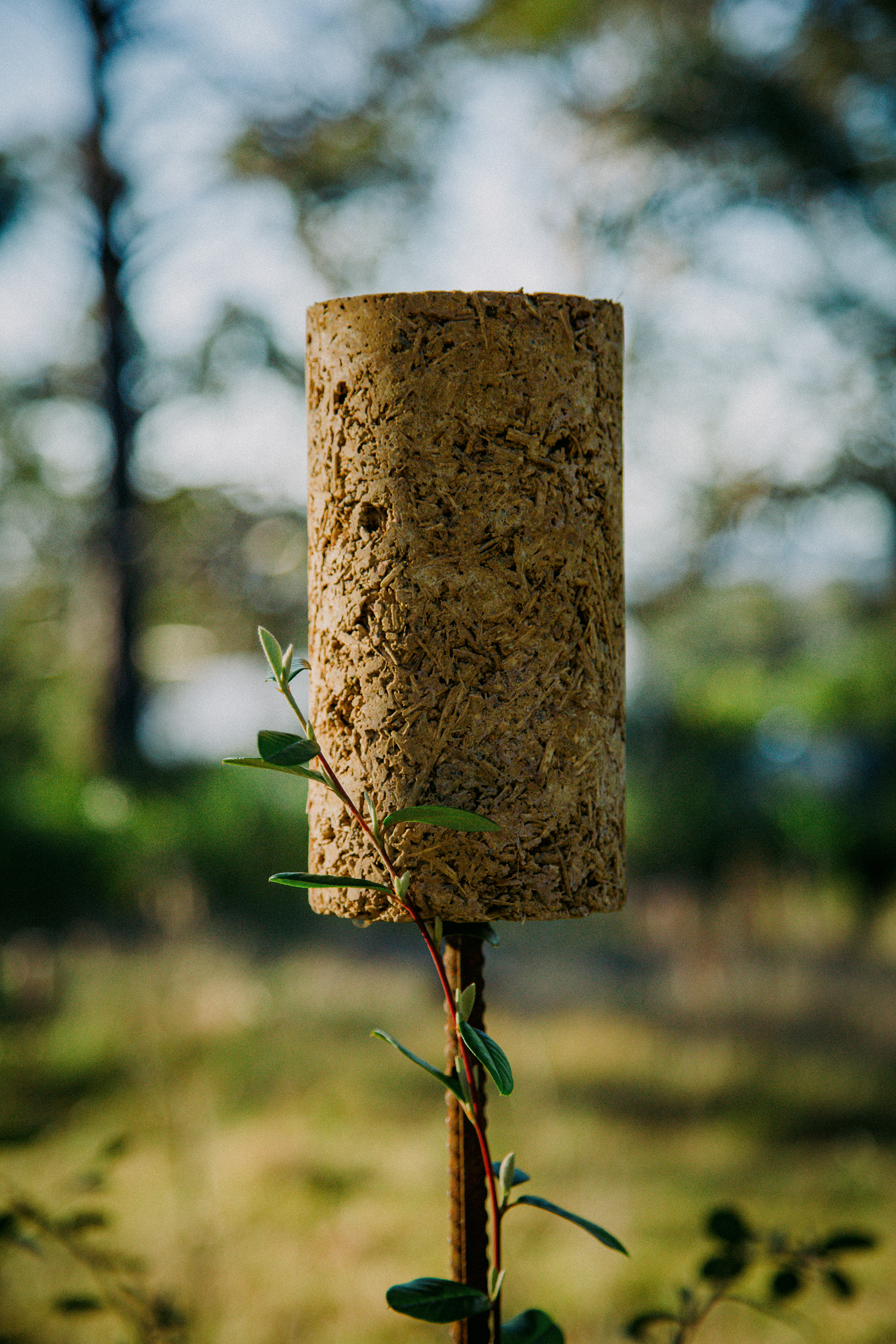 Field Work, 2024_Ellen Ferrier_6.png