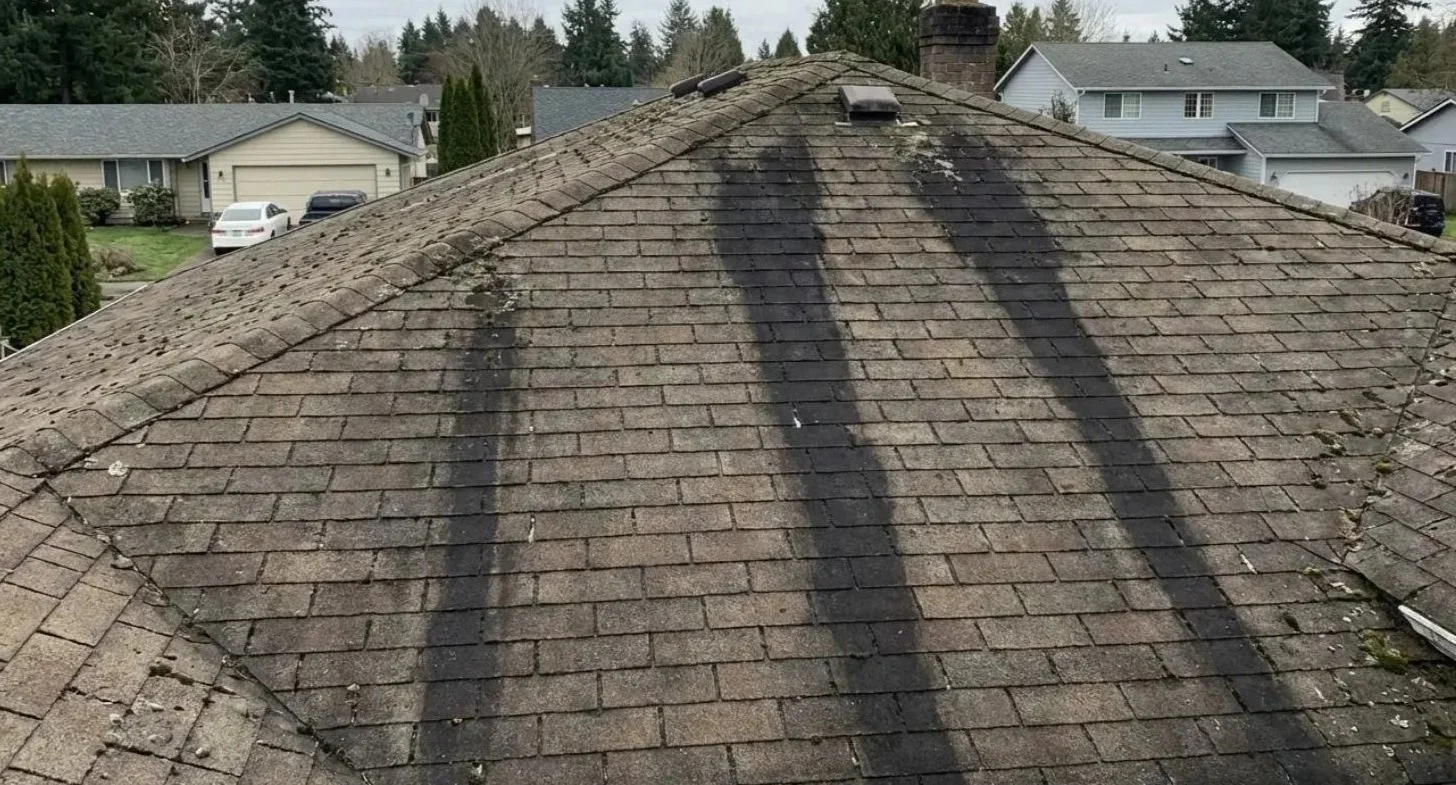 Dark streaks are usually algae, but they can also indicate moisture retention and an aging roofing system. They deserve inspection before more serious roofing issues develop.