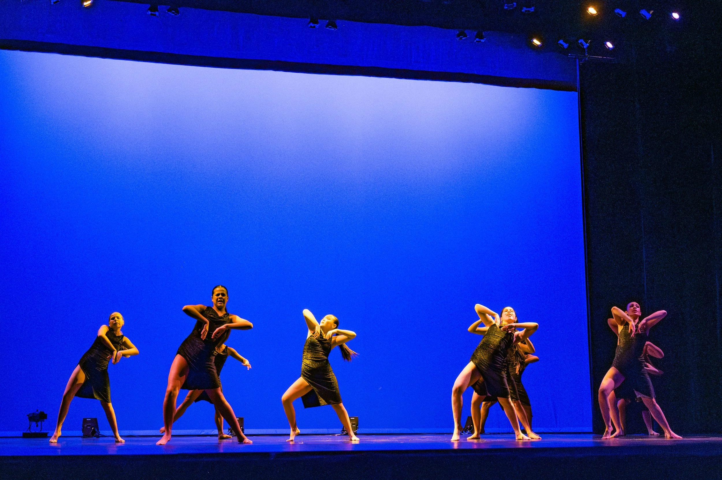 VAPA Dance 2026-462.jpg