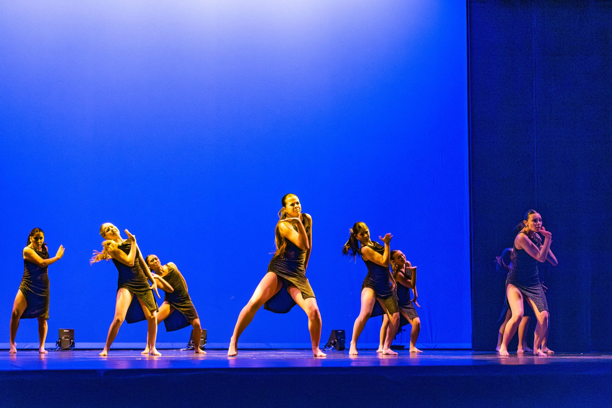 VAPA Dance 2026-460.jpg