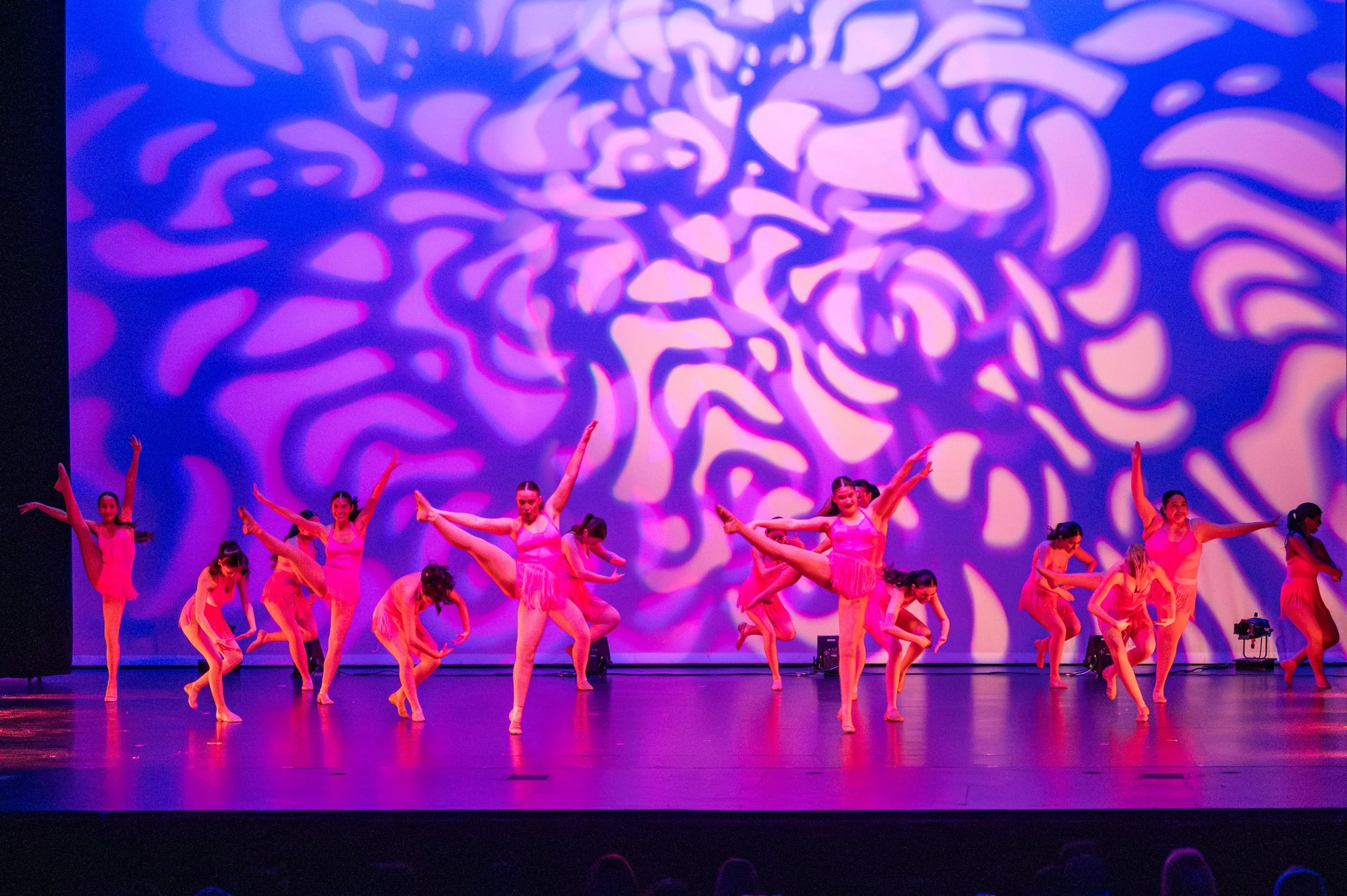 VAPA Dance 2026-145.jpg