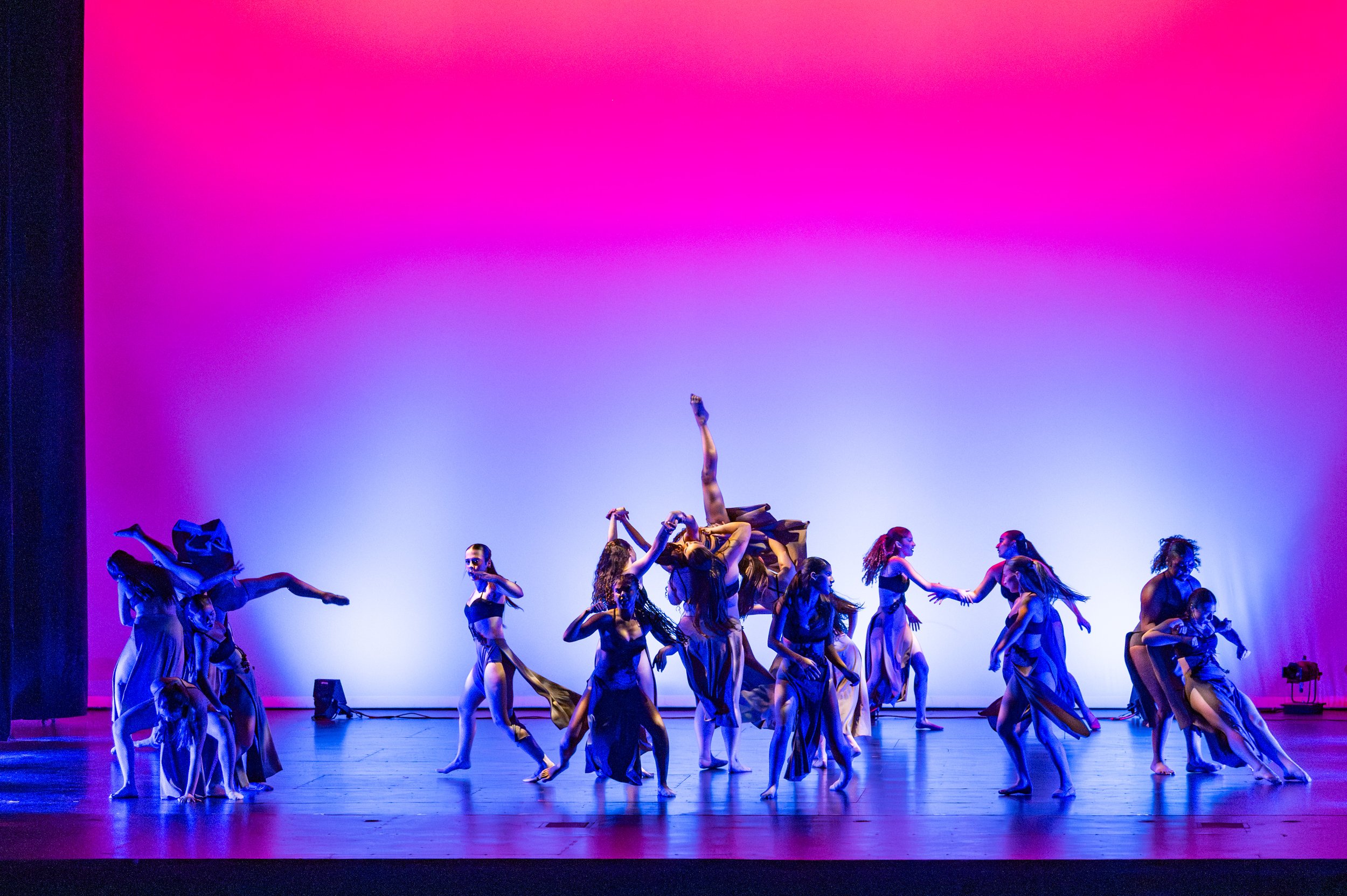 VAPA Dance 2026-418.jpg