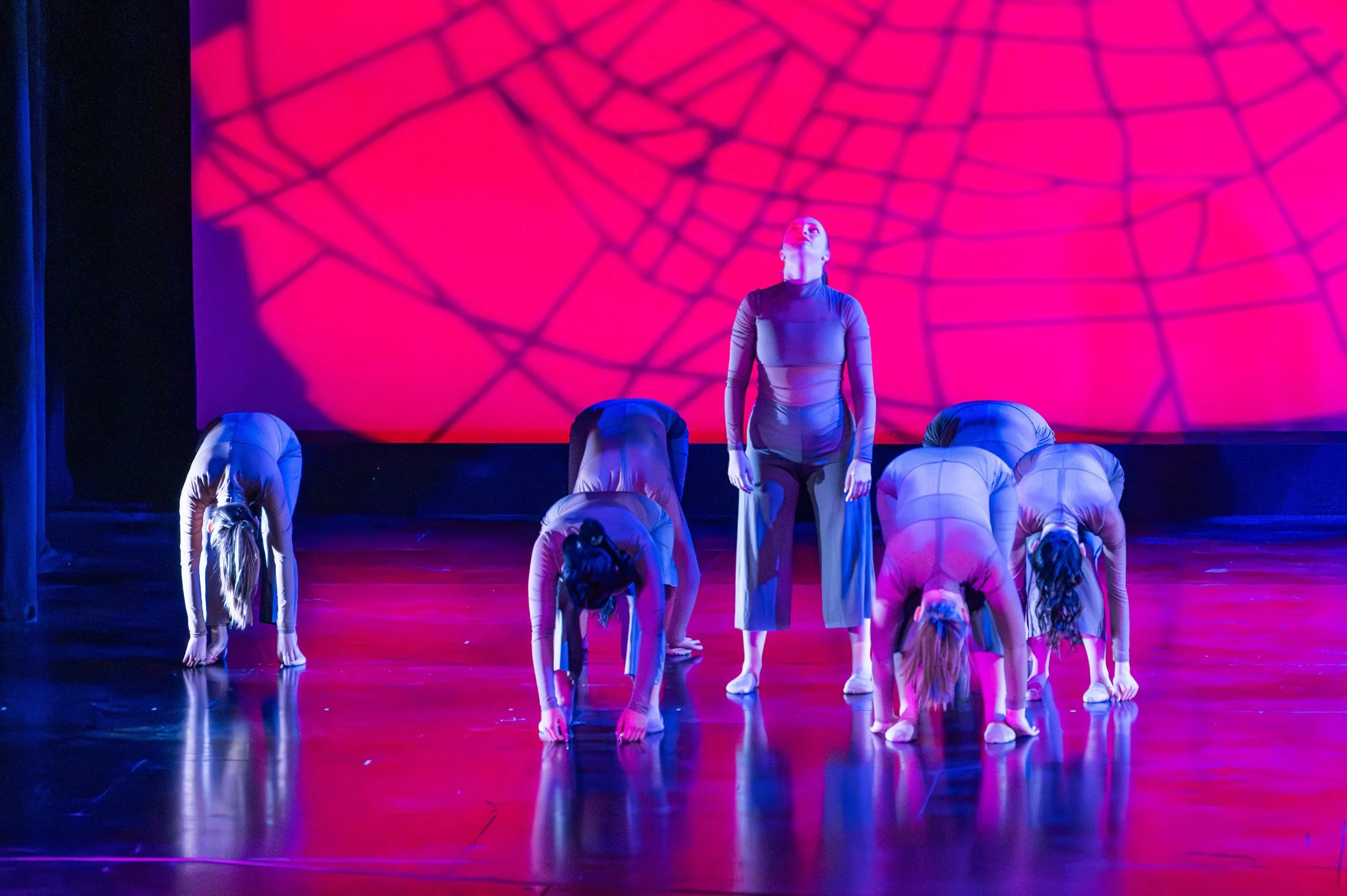 dance festival 2025-178.jpg
