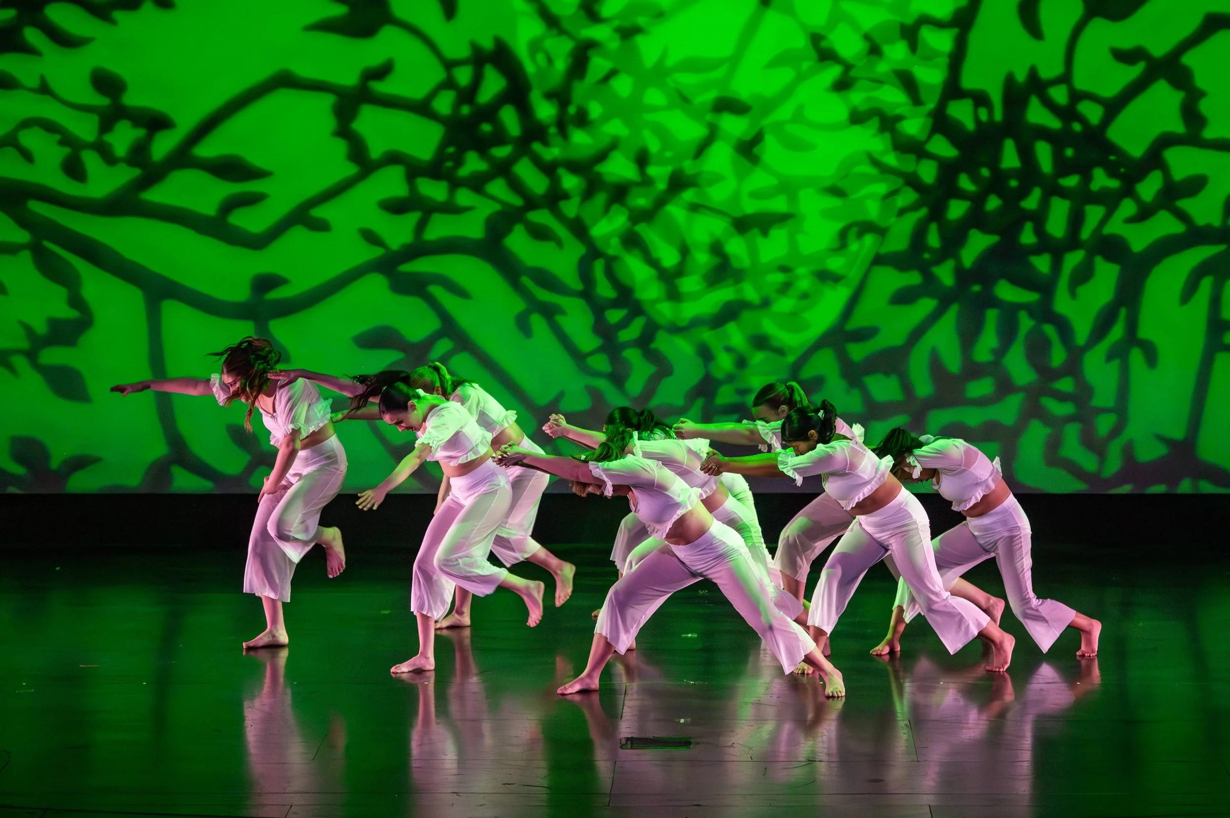 dance festival 2025-121.jpg