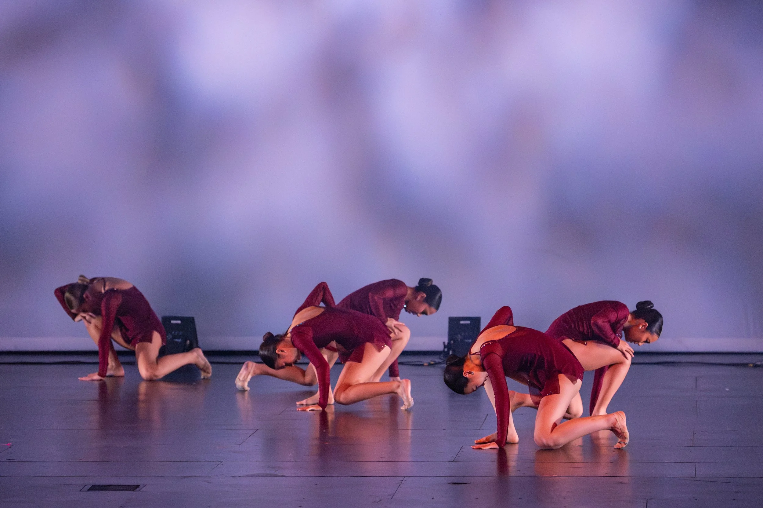 VAPA Dance 2026-290.jpg