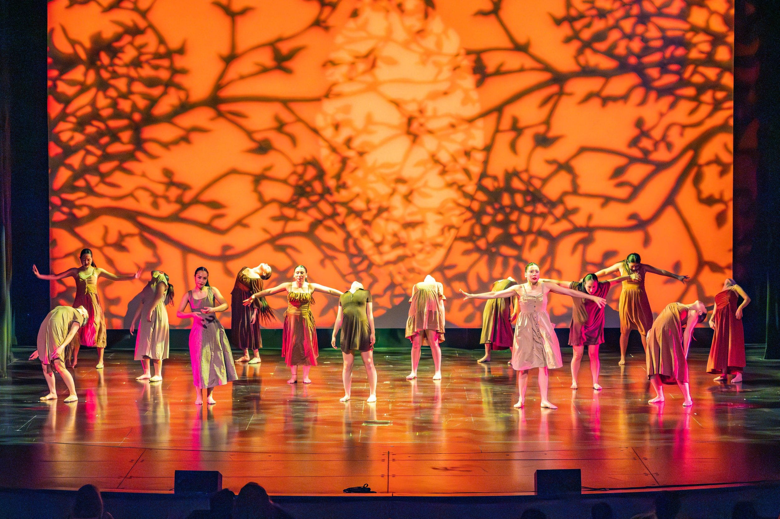 dance festival 2025-250.jpg