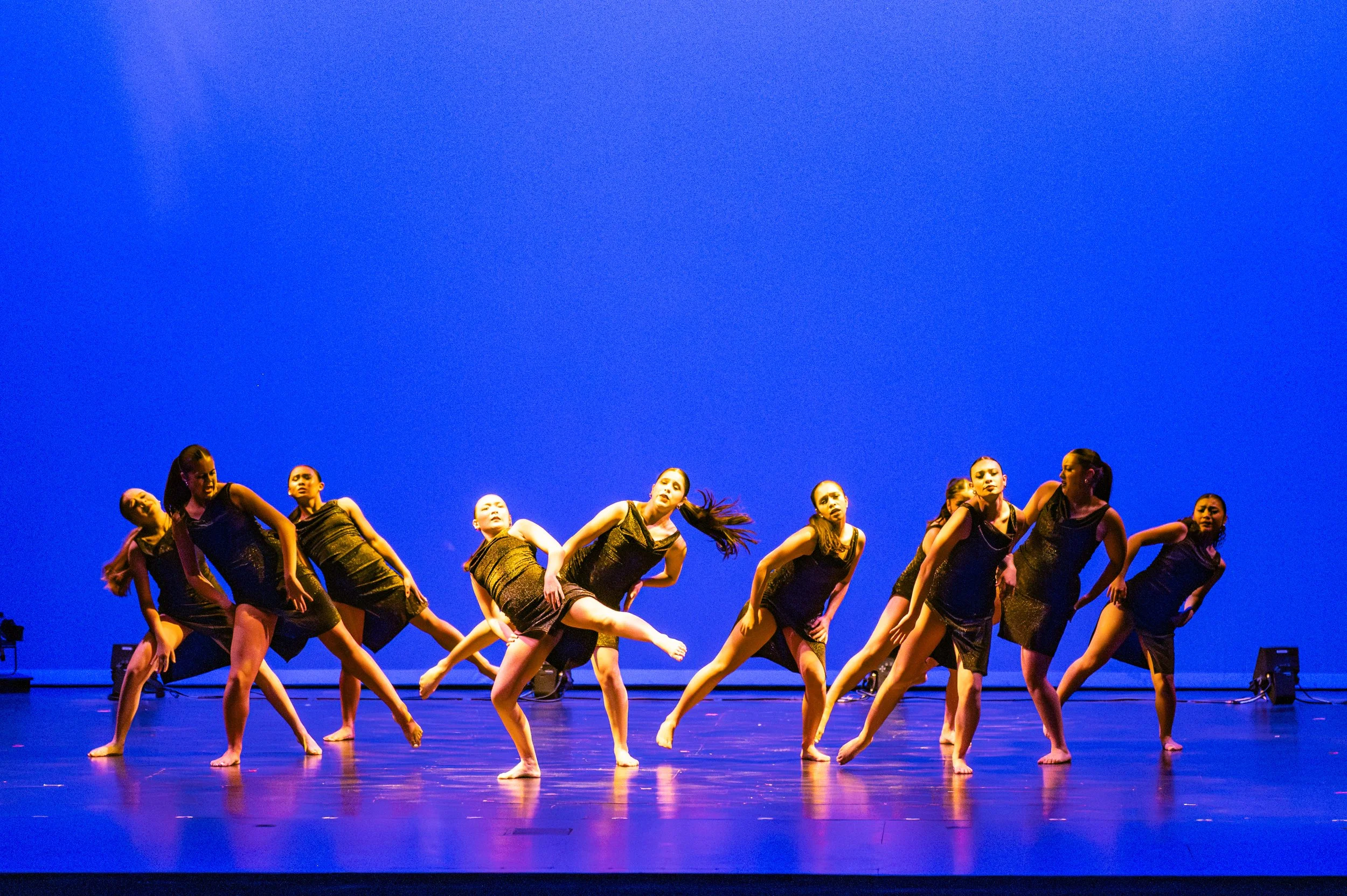 VAPA Dance 2026-473.jpg