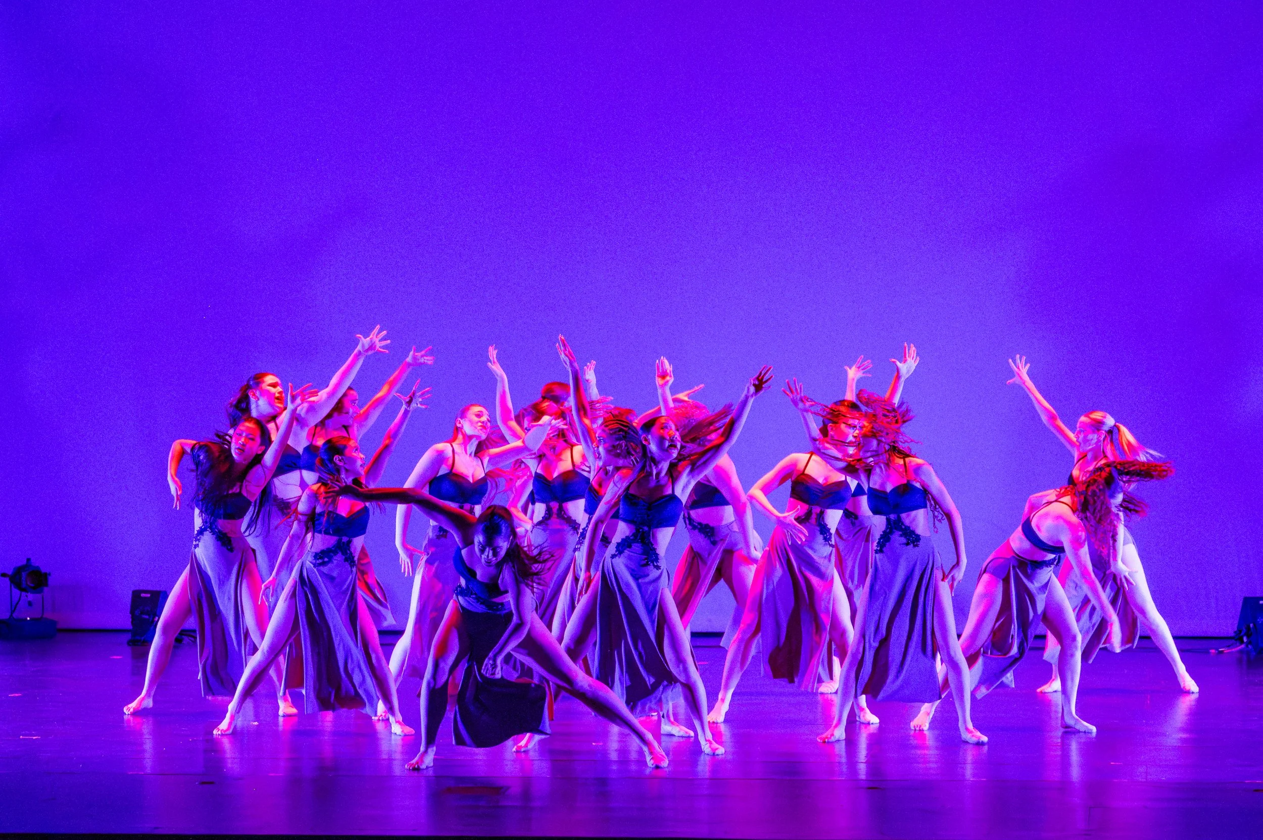 VAPA Dance 2026-423.jpg