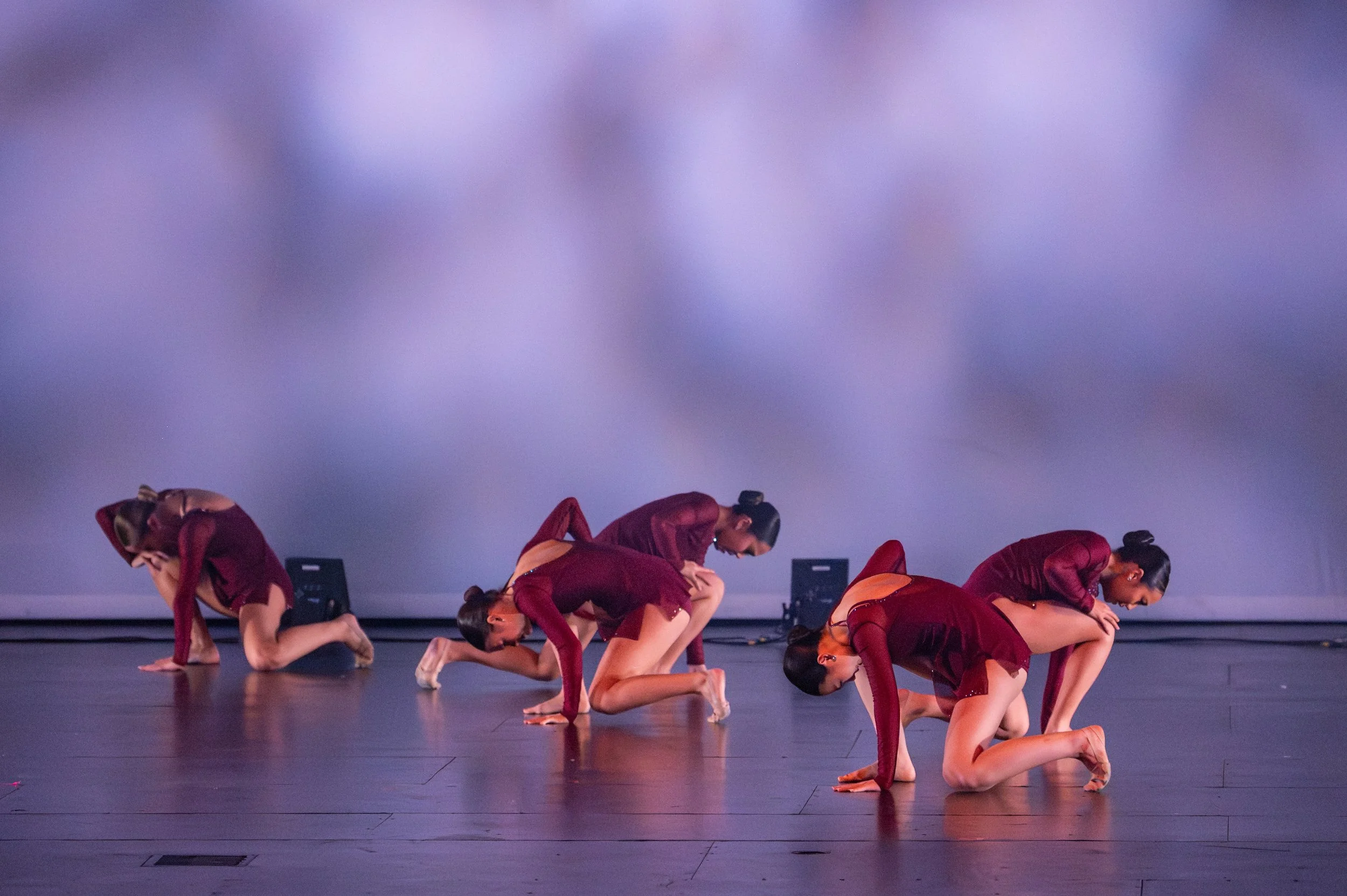 VAPA Dance 2026-290.jpg