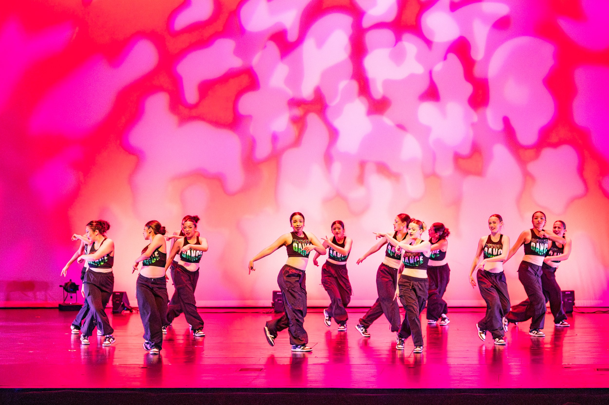 VAPA Dance 2026-401.jpg