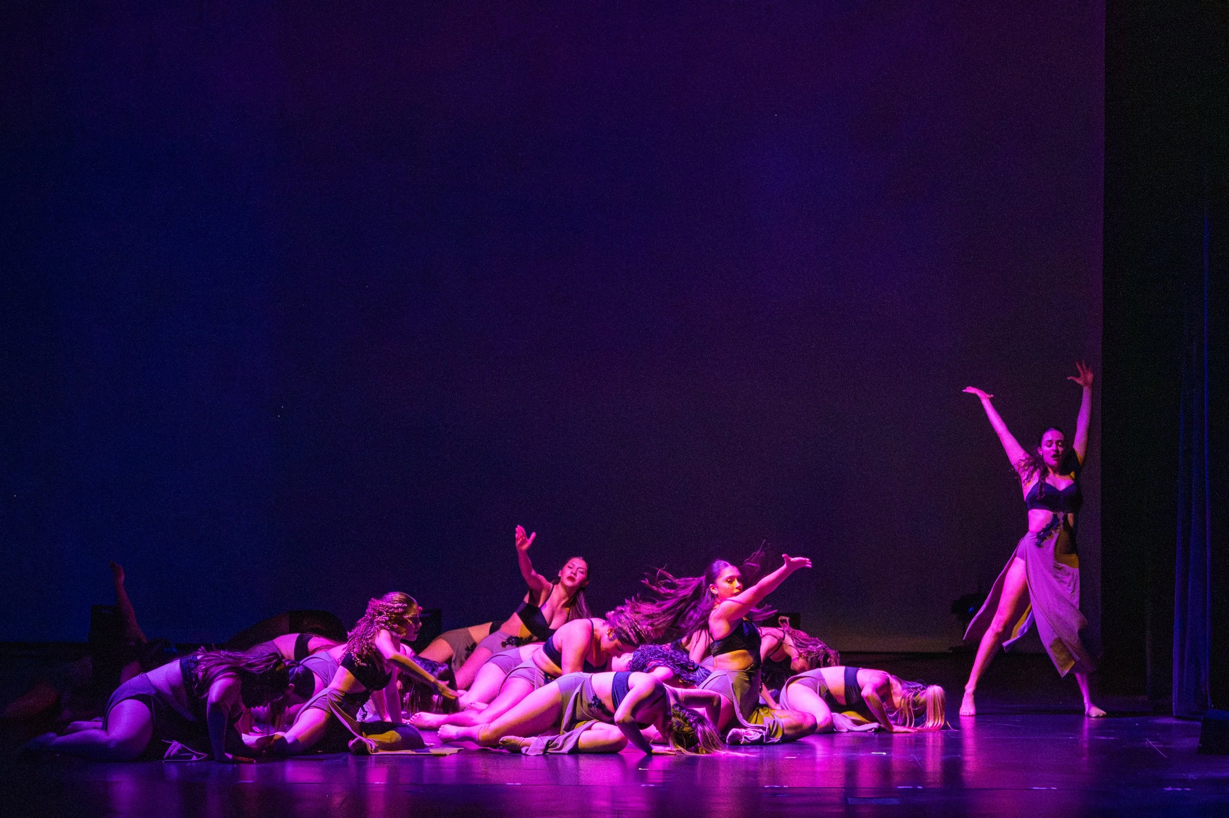 VAPA Dance 2026-420.jpg