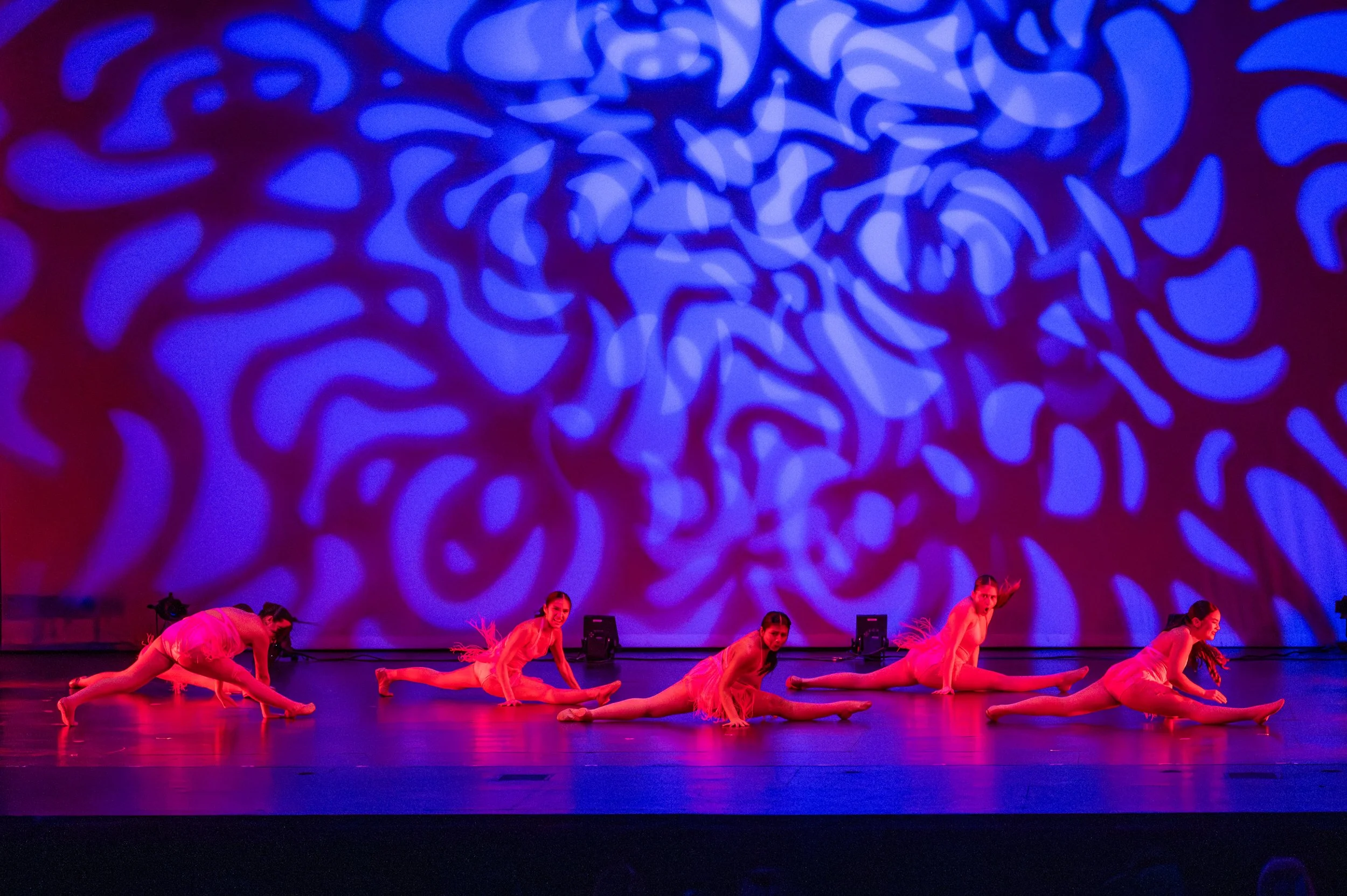 VAPA Dance 2026-144.jpg