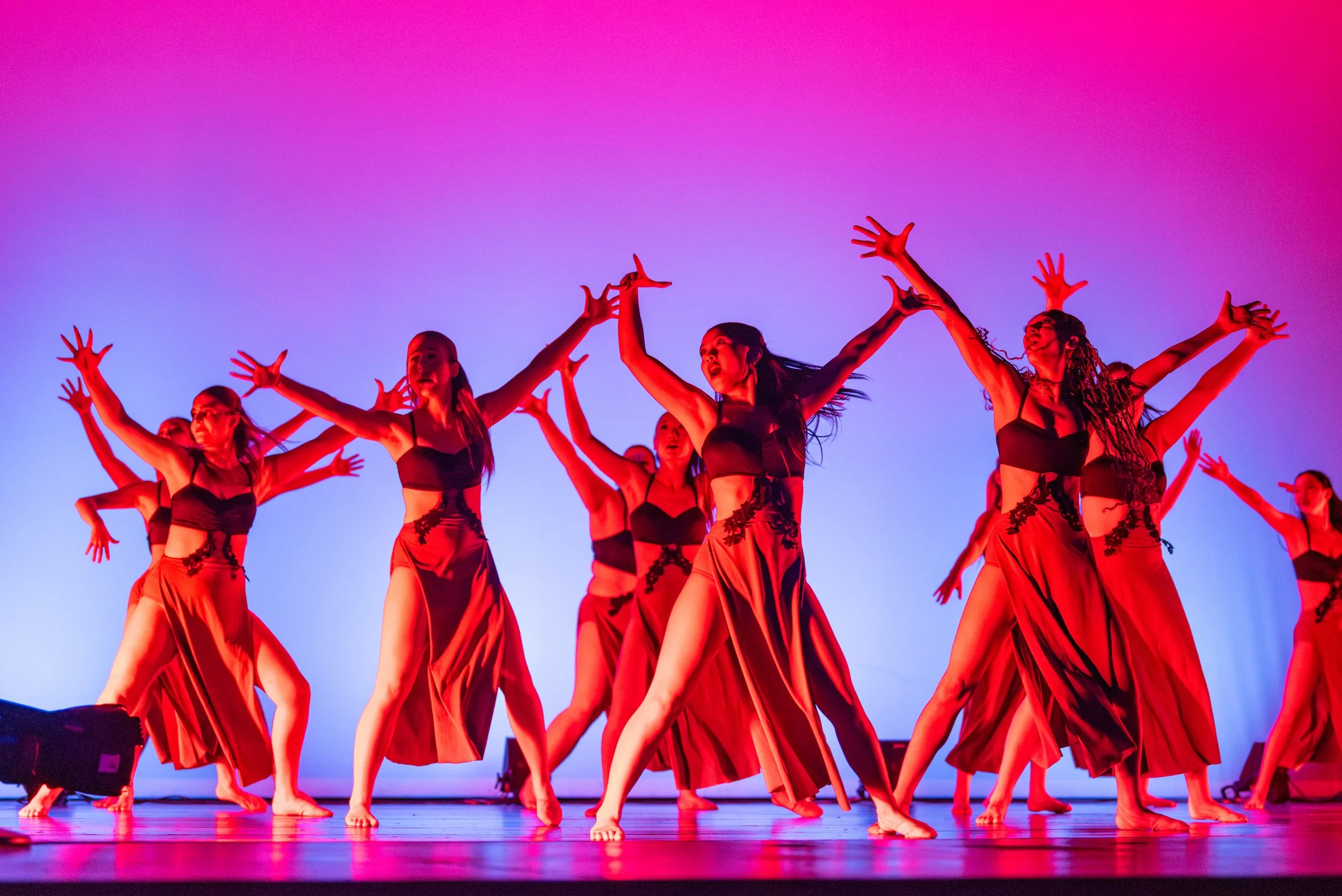 VAPA Dance 2026-411.jpg