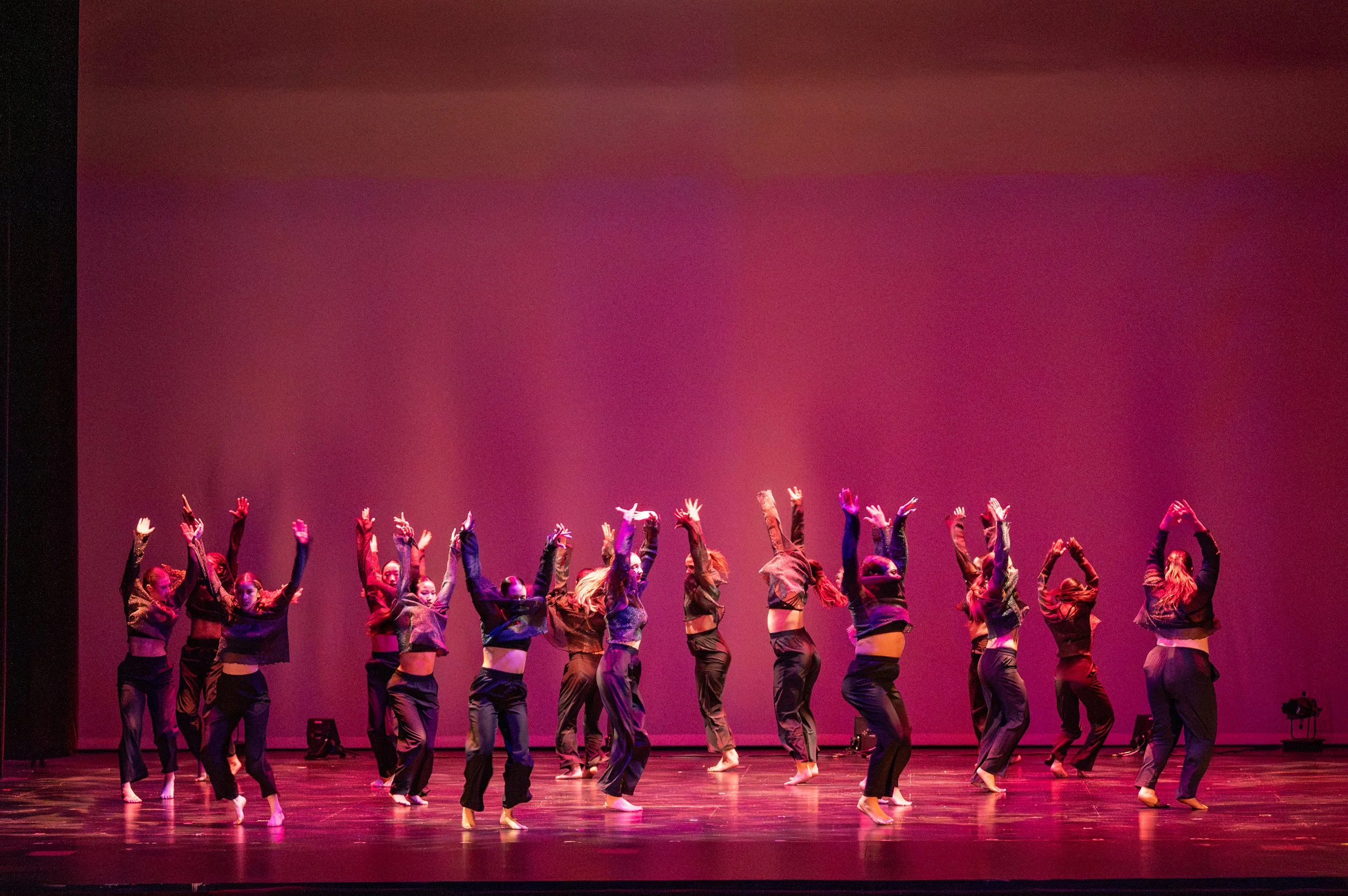 VAPA Dance 2026-124.jpg