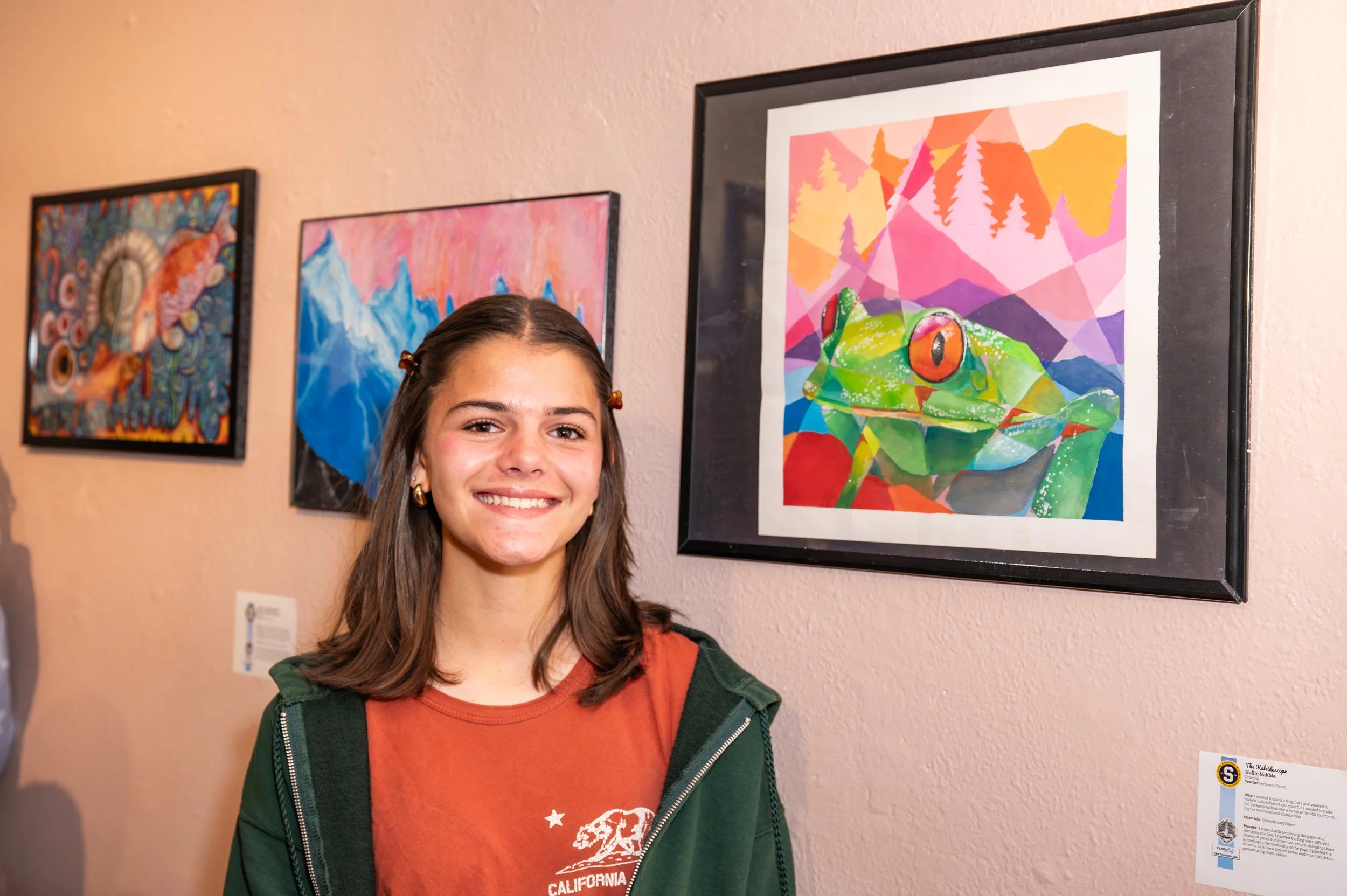 VAPA Visual Arts 2026-28.jpg