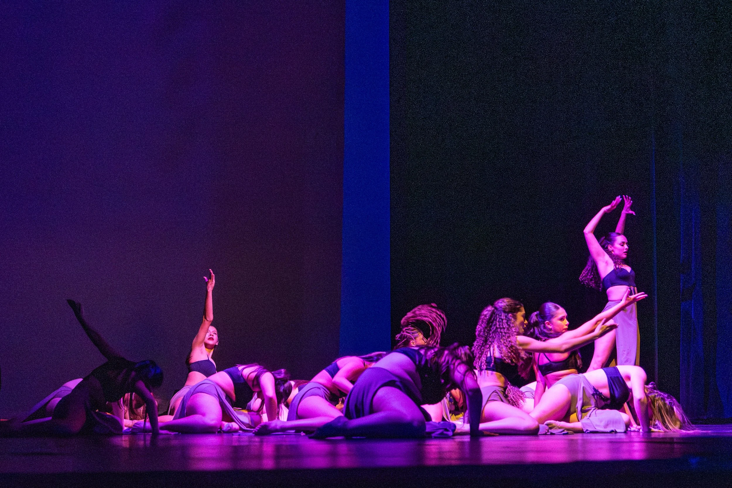 VAPA Dance 2026-413.jpg