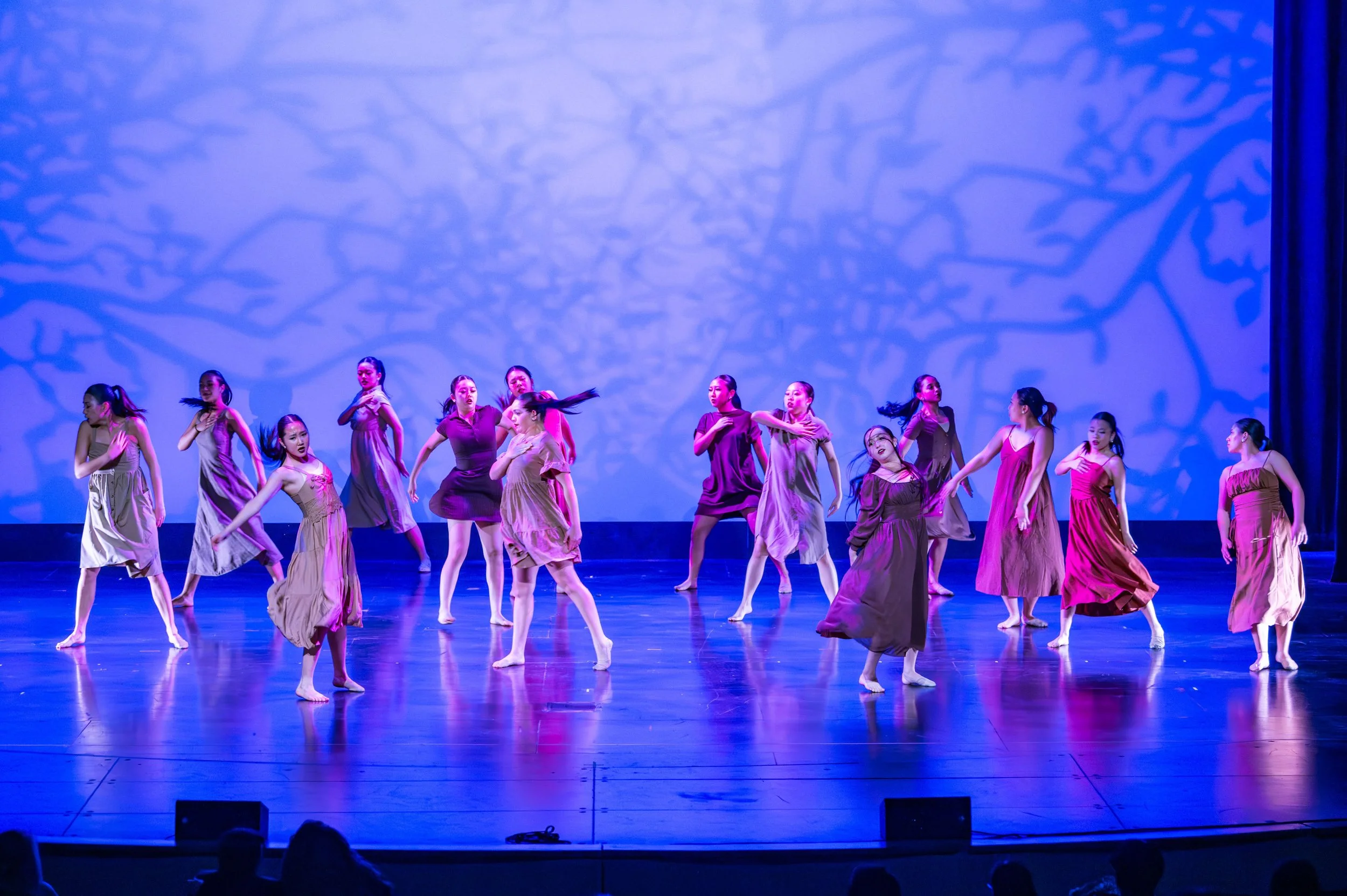 dance festival 2025-248.jpg