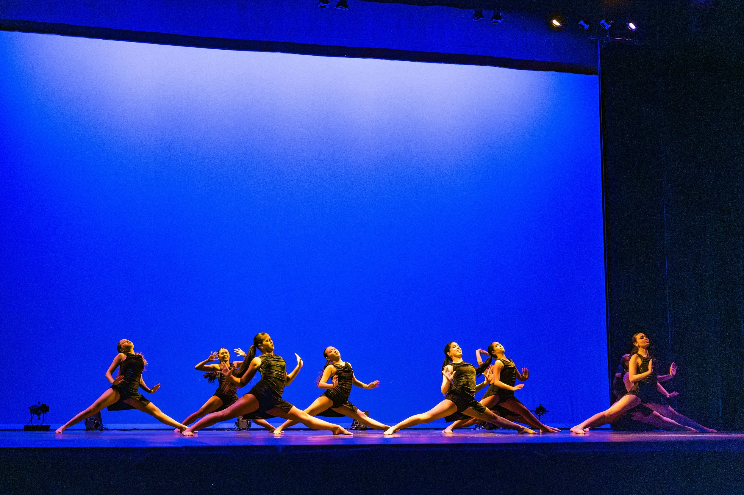 VAPA Dance 2026-461.jpg