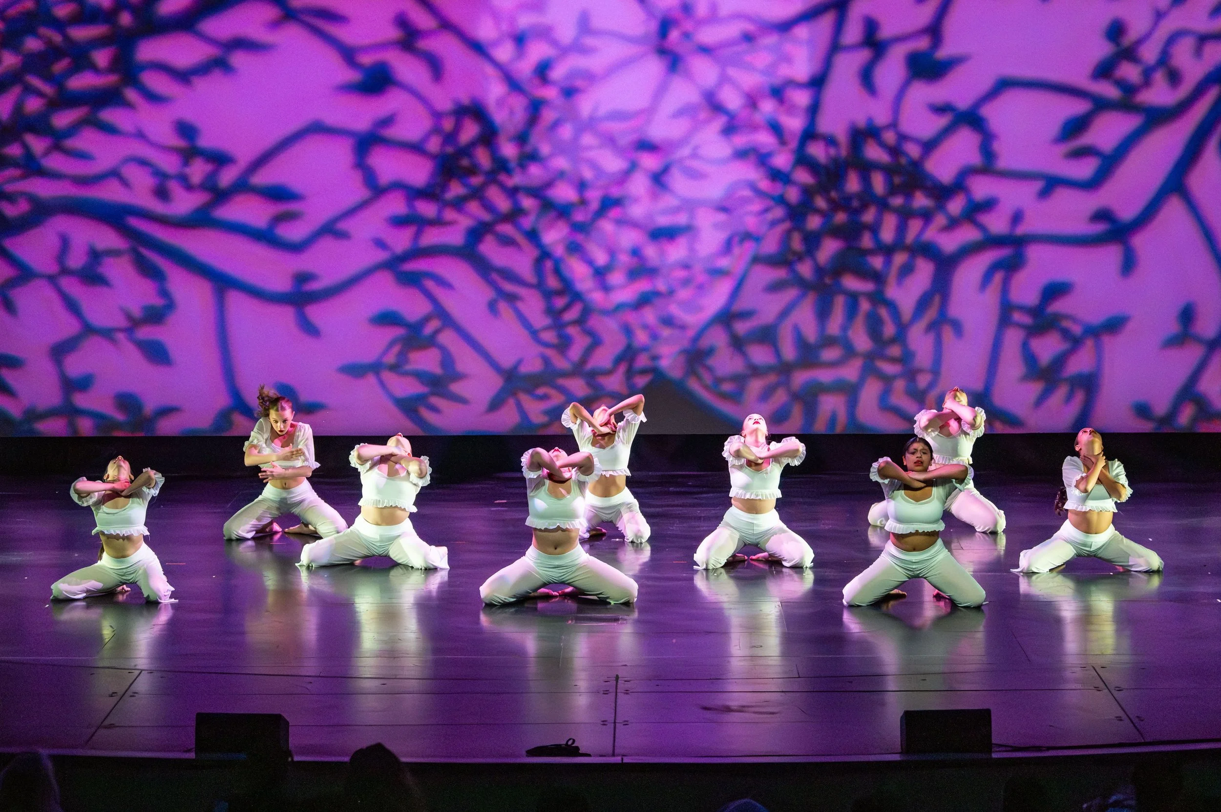 dance festival 2025-123.jpg
