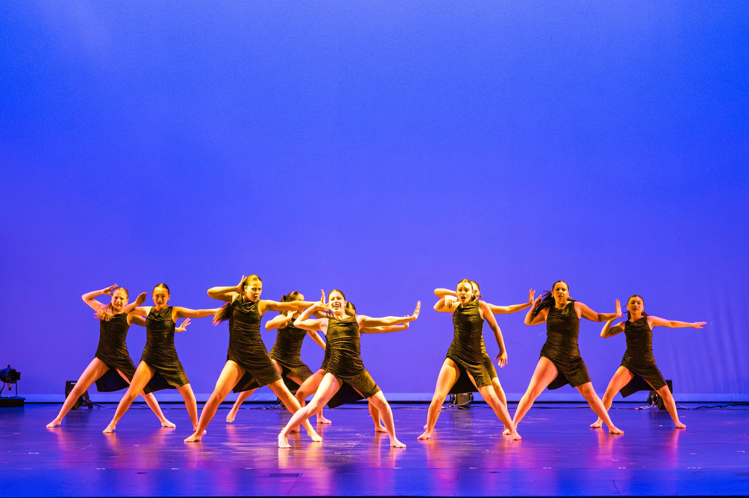 VAPA Dance 2026-469.jpg