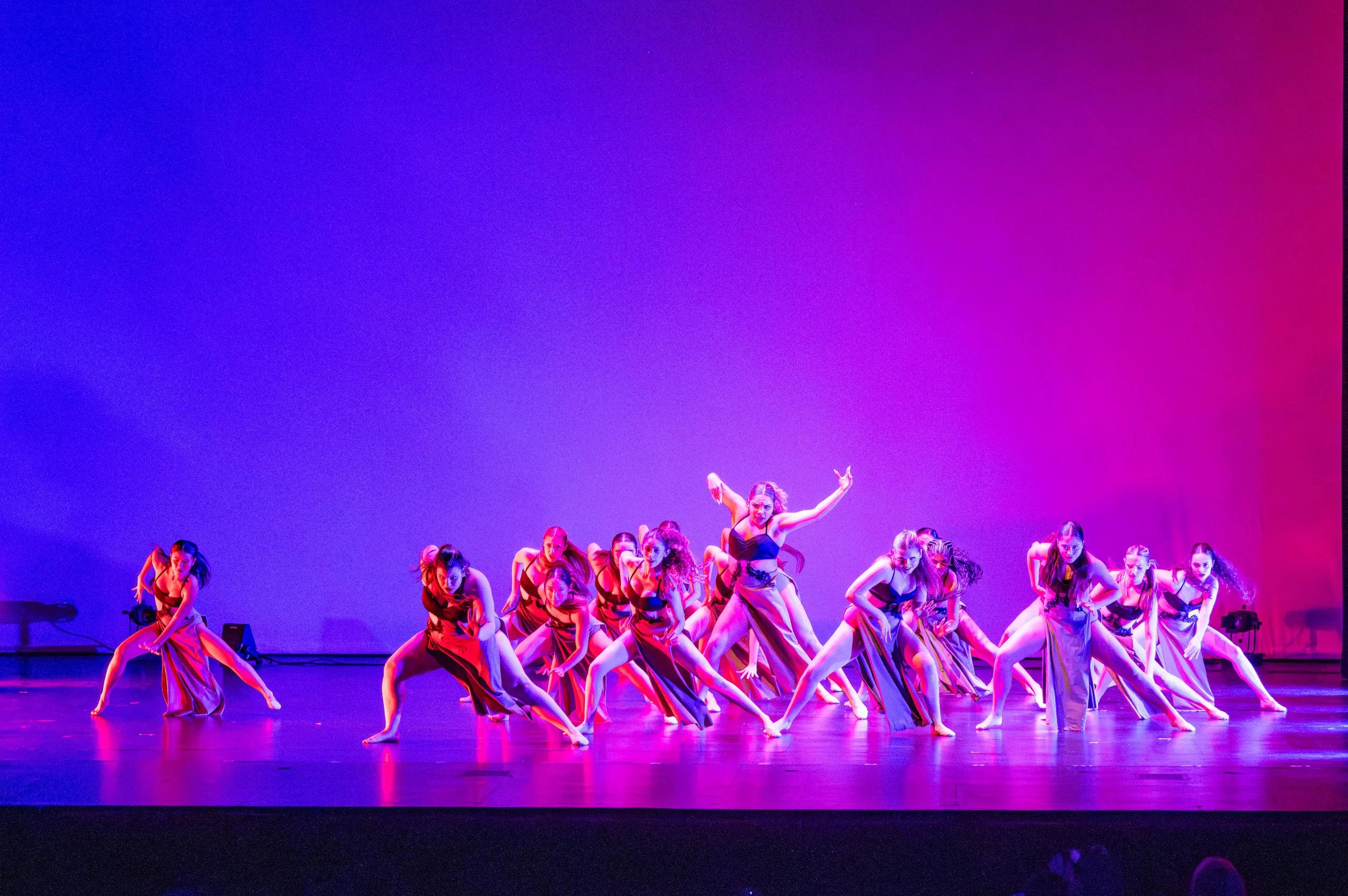 VAPA Dance 2026-421.jpg