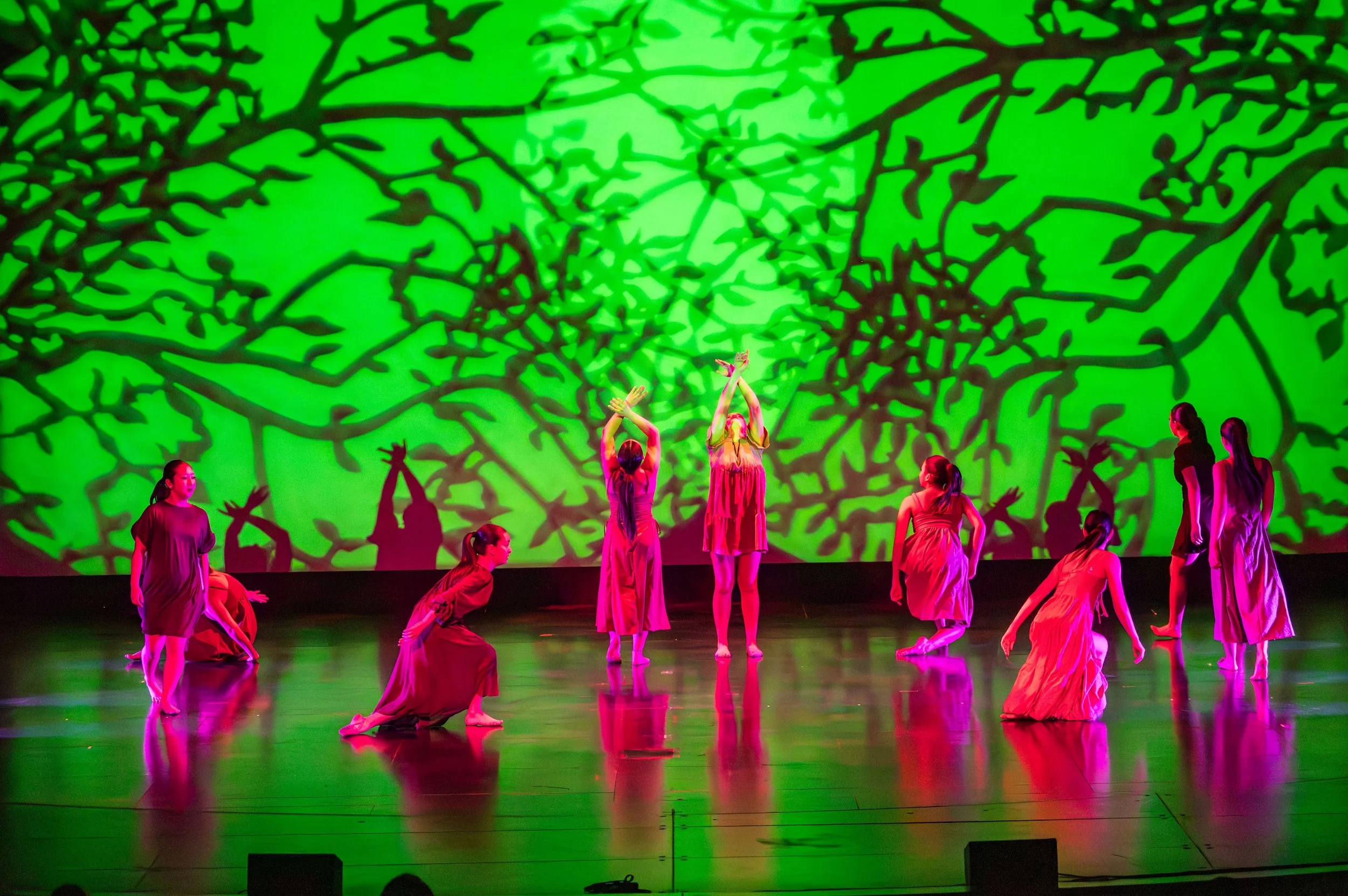 dance festival 2025-249.jpg