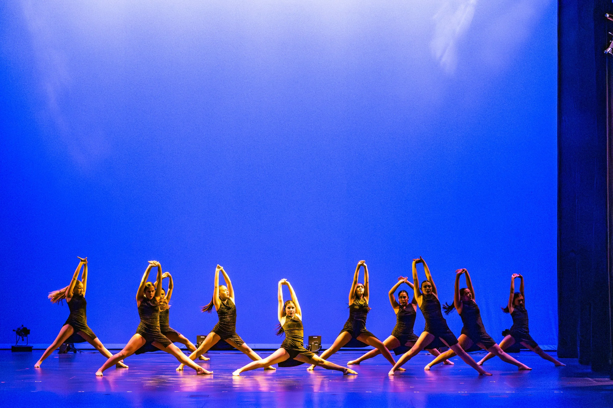 VAPA Dance 2026-472.jpg