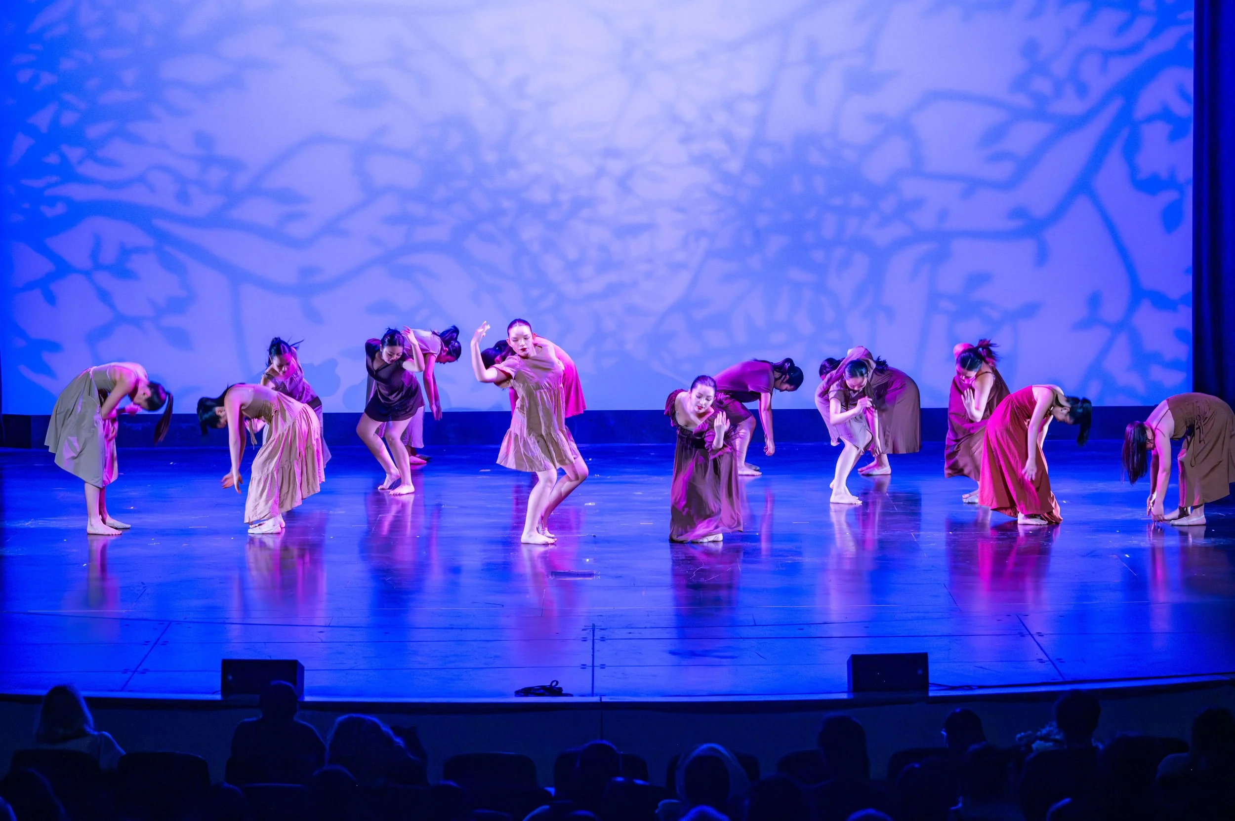 dance festival 2025-247.jpg