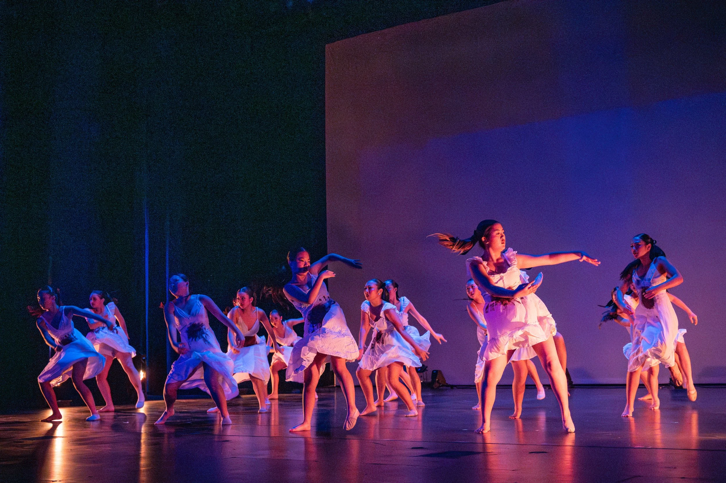 VAPA Dance 2026-356.jpg