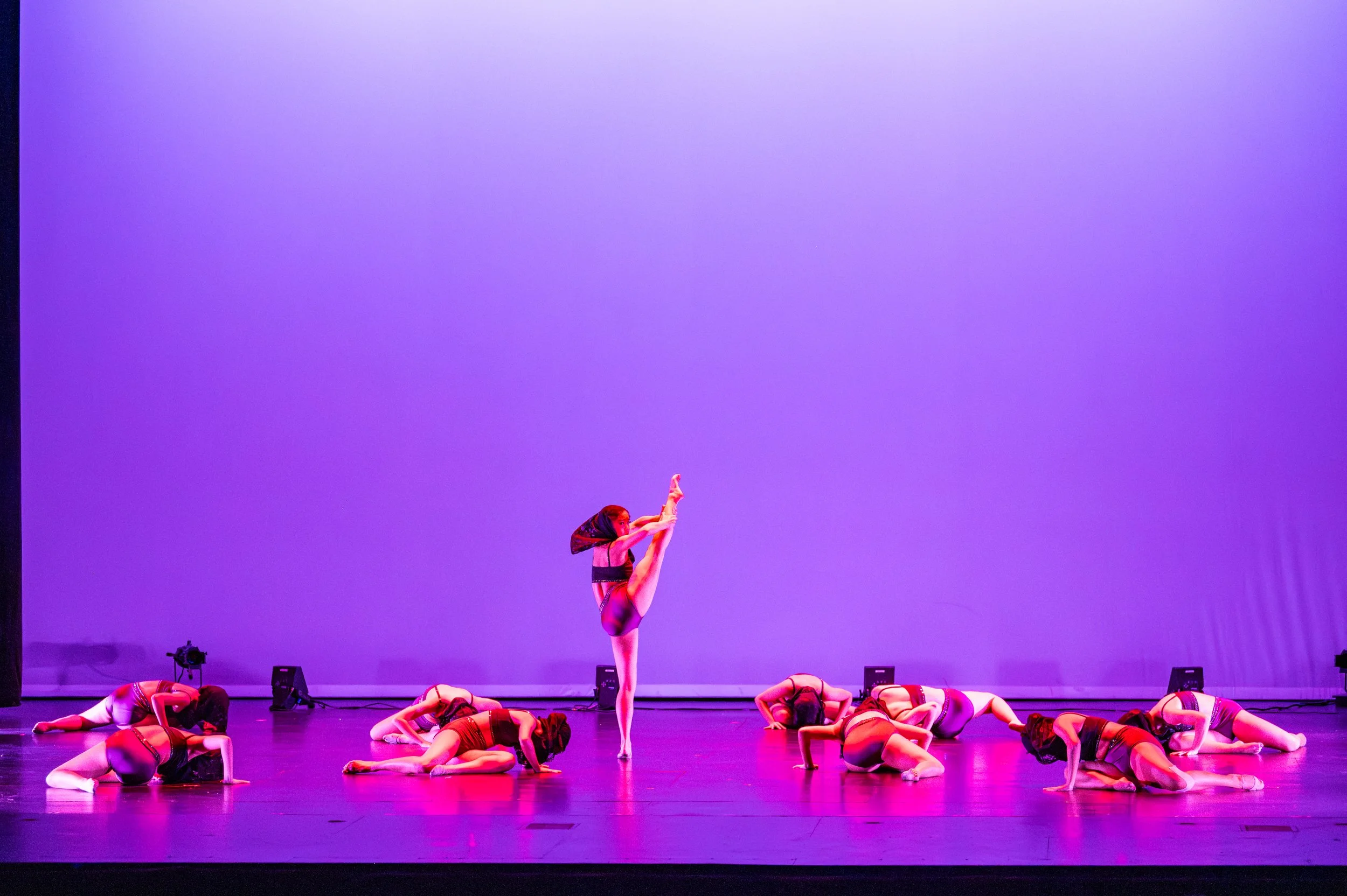 VAPA Dance 2026-393.jpg