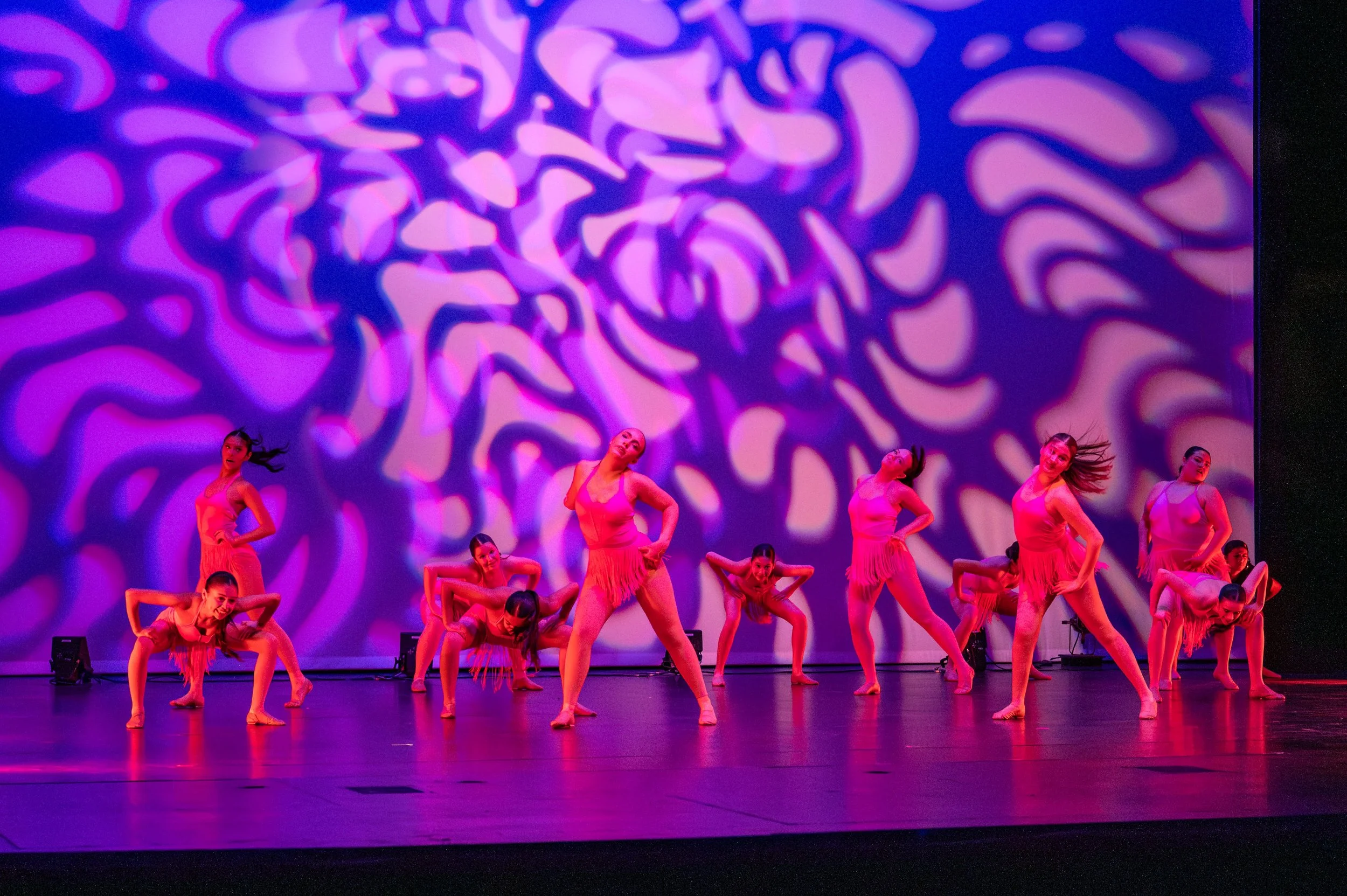 VAPA Dance 2026-136.jpg