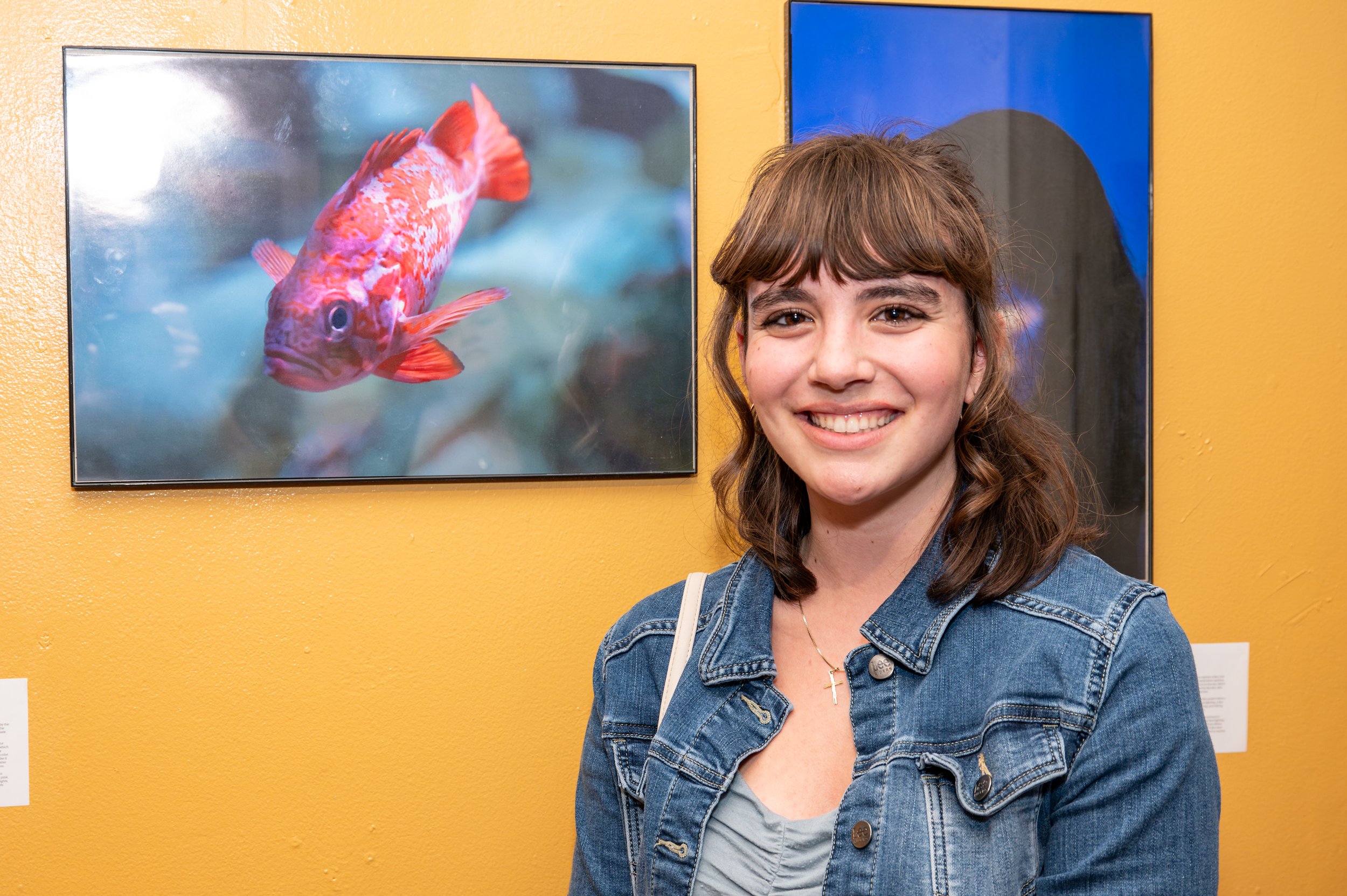 VAPA Visual Arts 2026-52.jpg