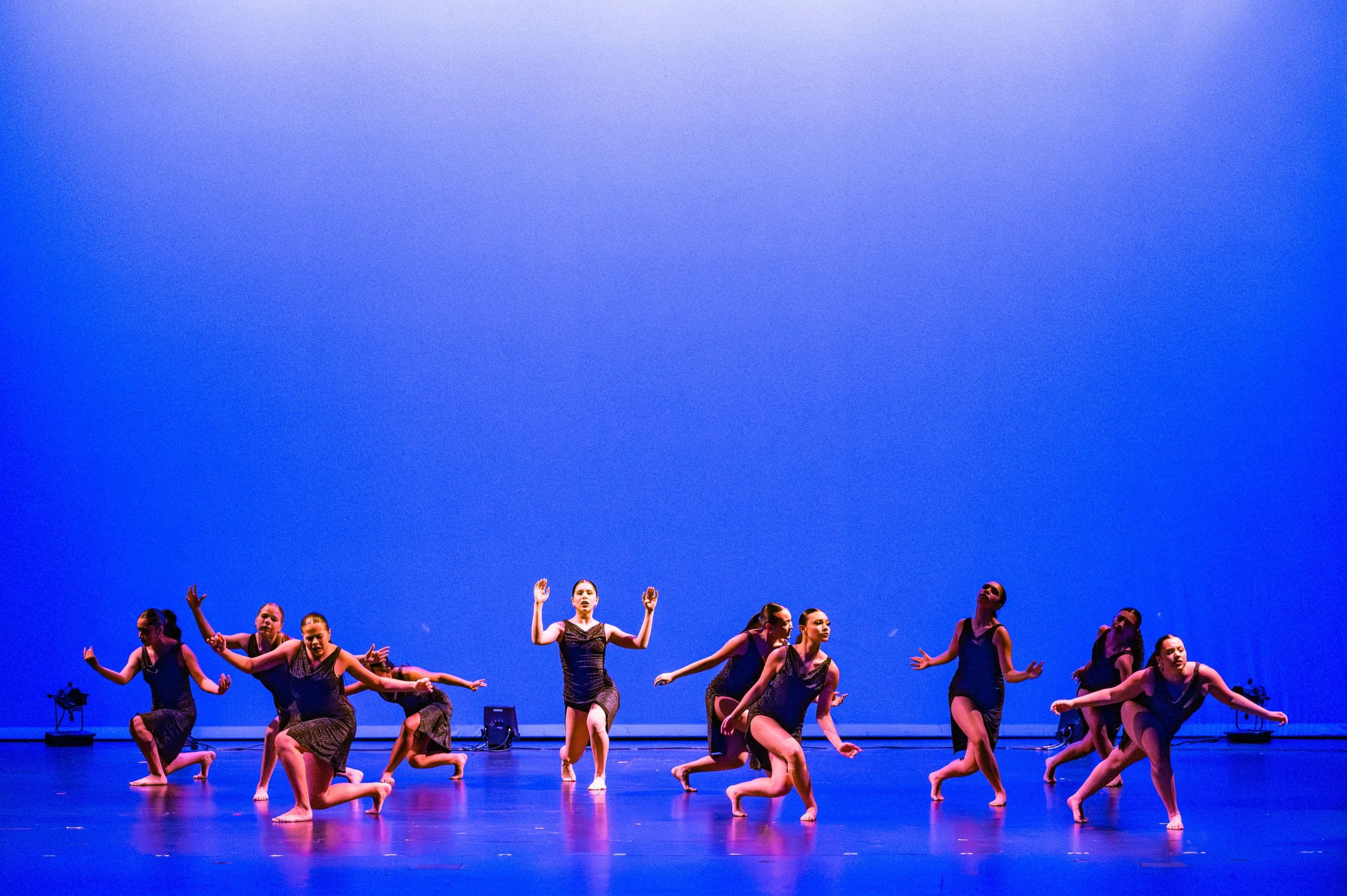 VAPA Dance 2026-468.jpg