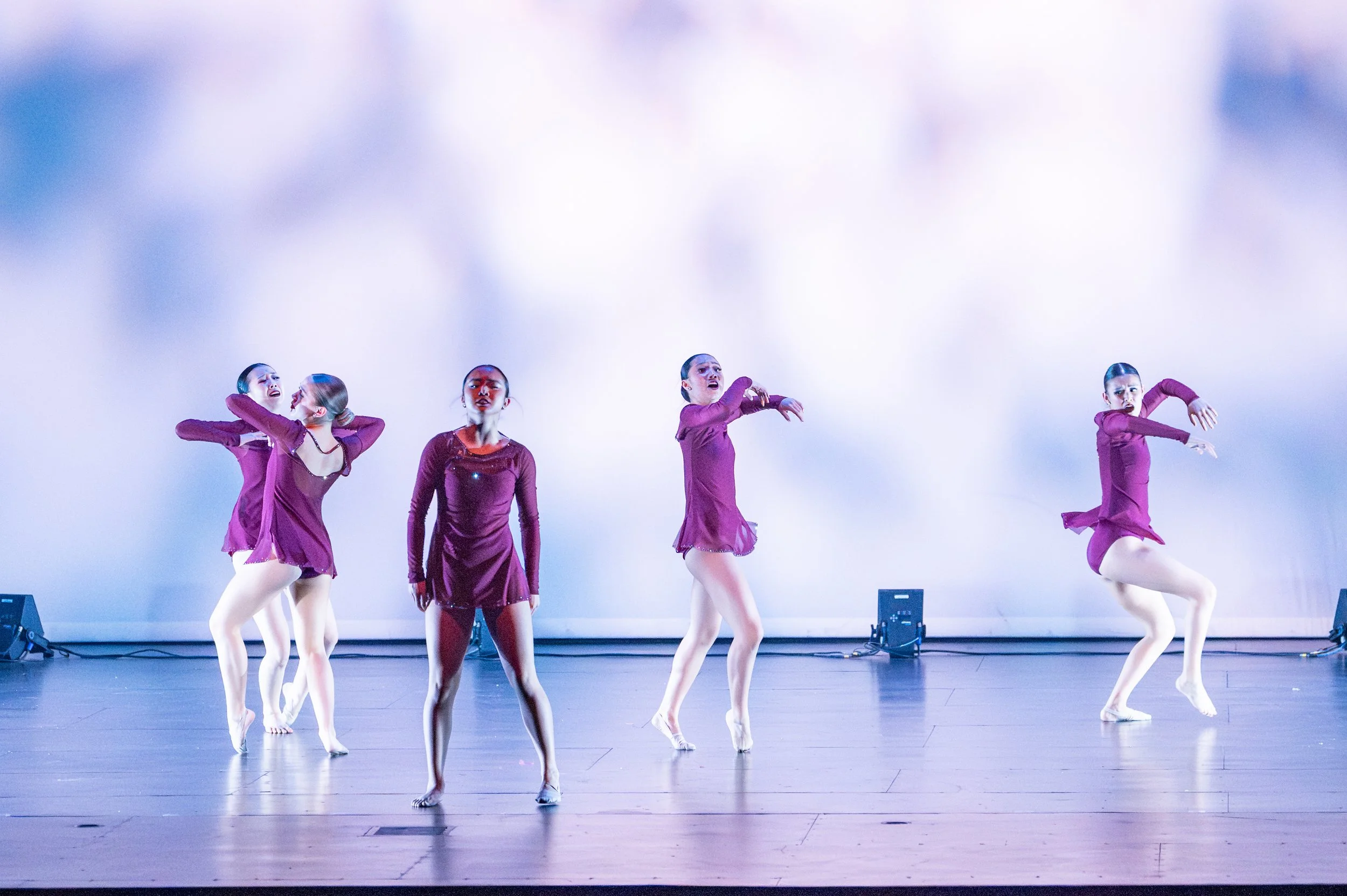 VAPA Dance 2026-300.jpg