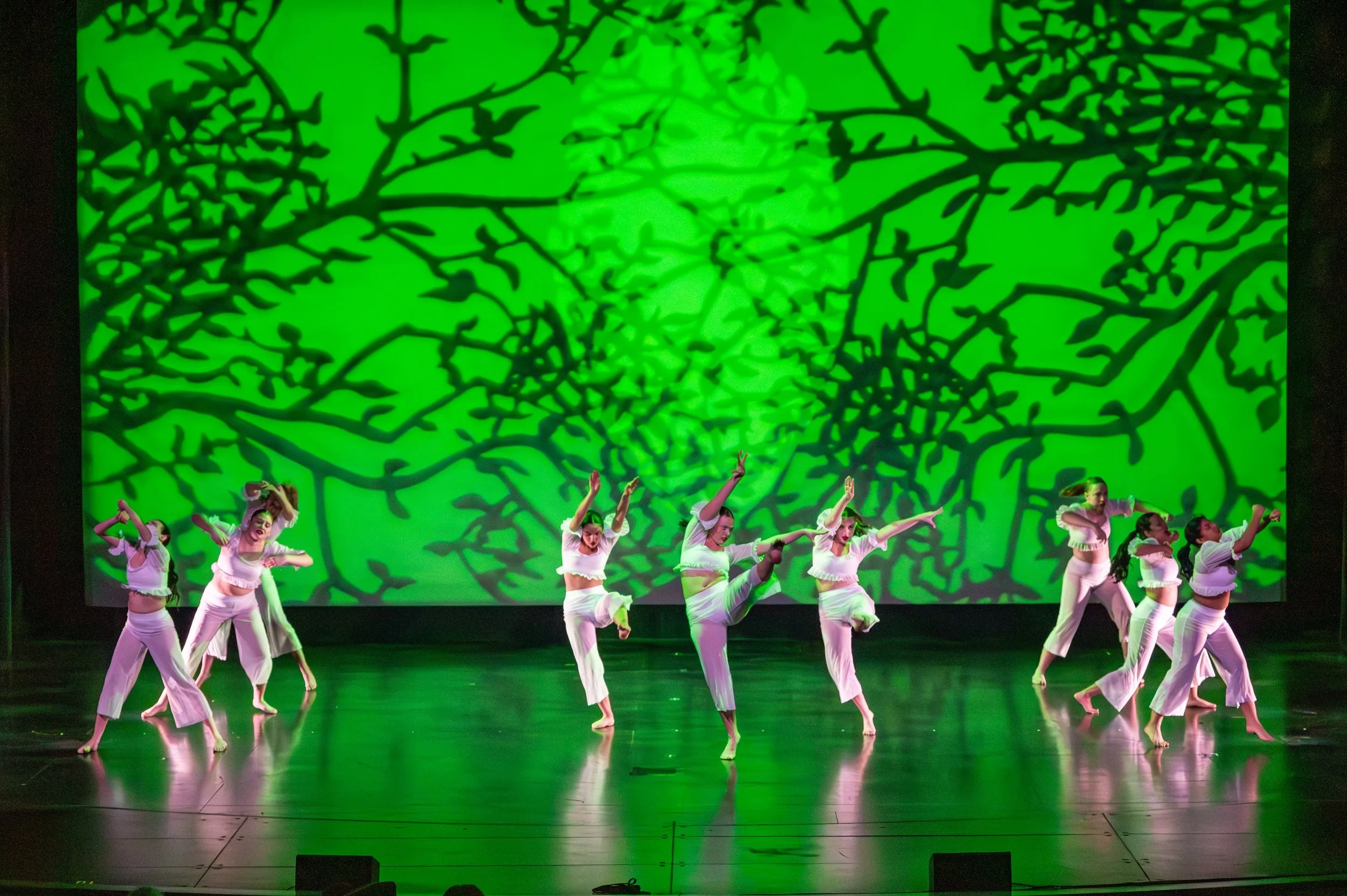 dance festival 2025-122.jpg
