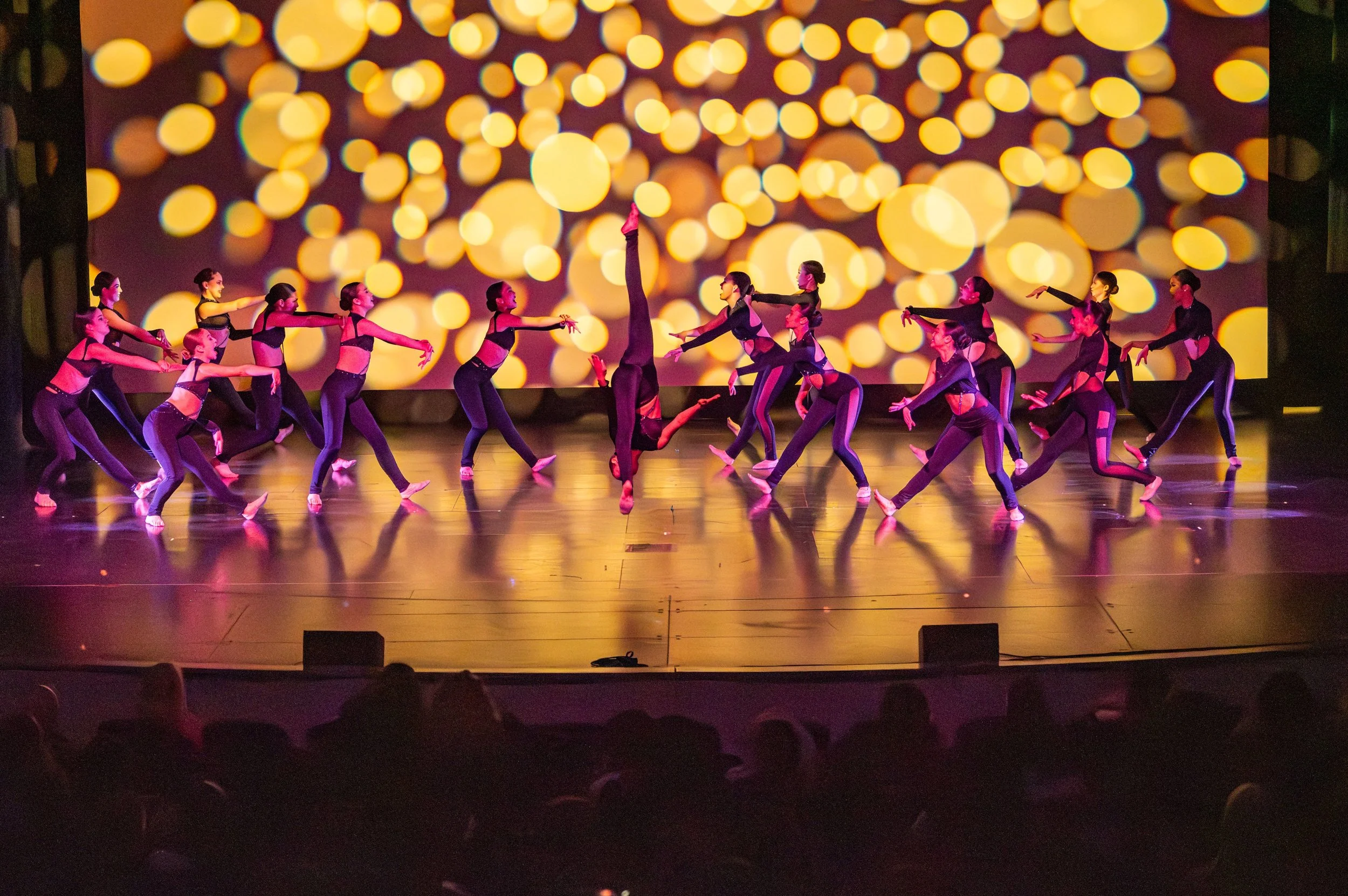 dance festival 2025-79.jpg