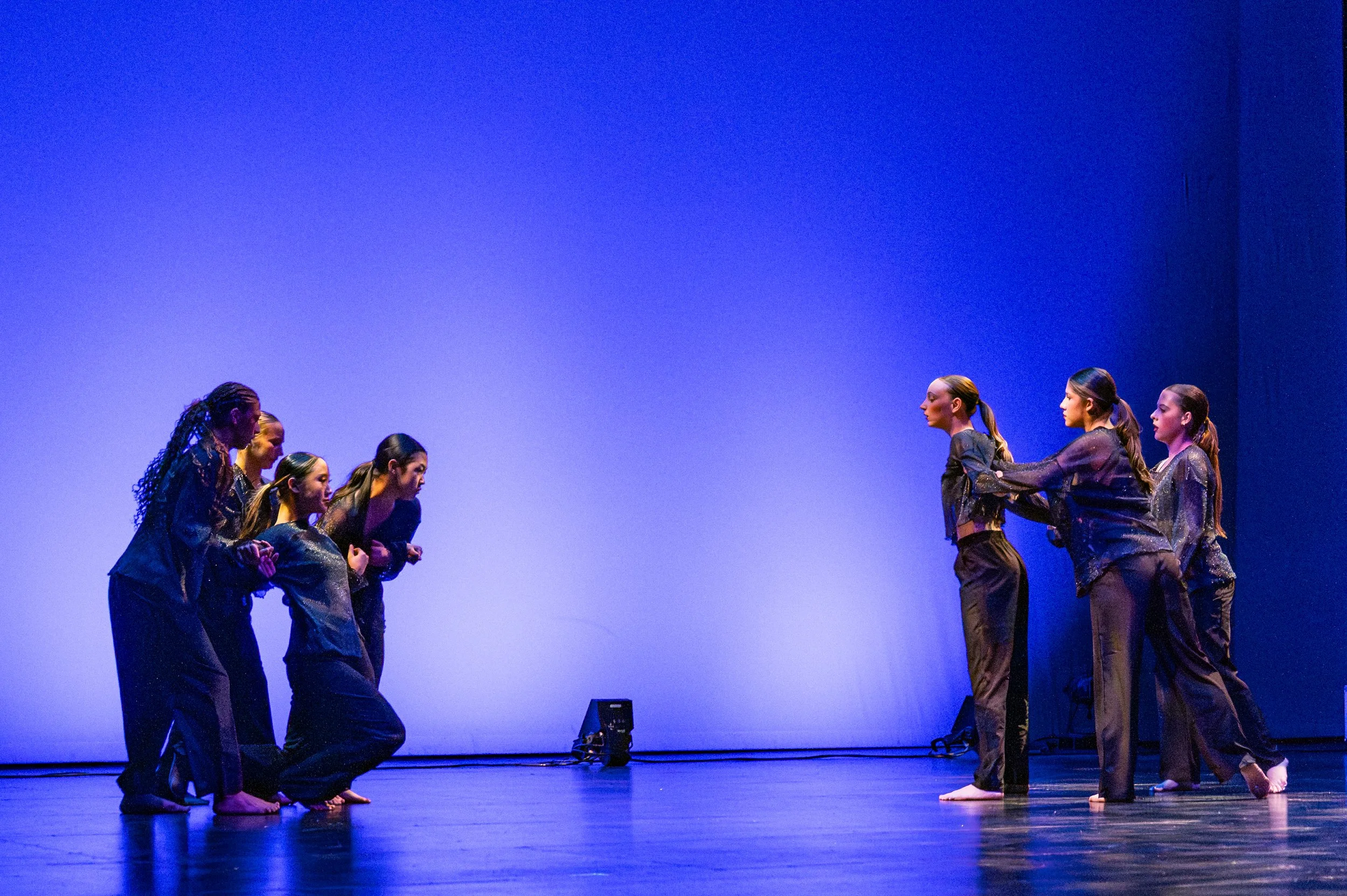 VAPA Dance 2026-111.jpg