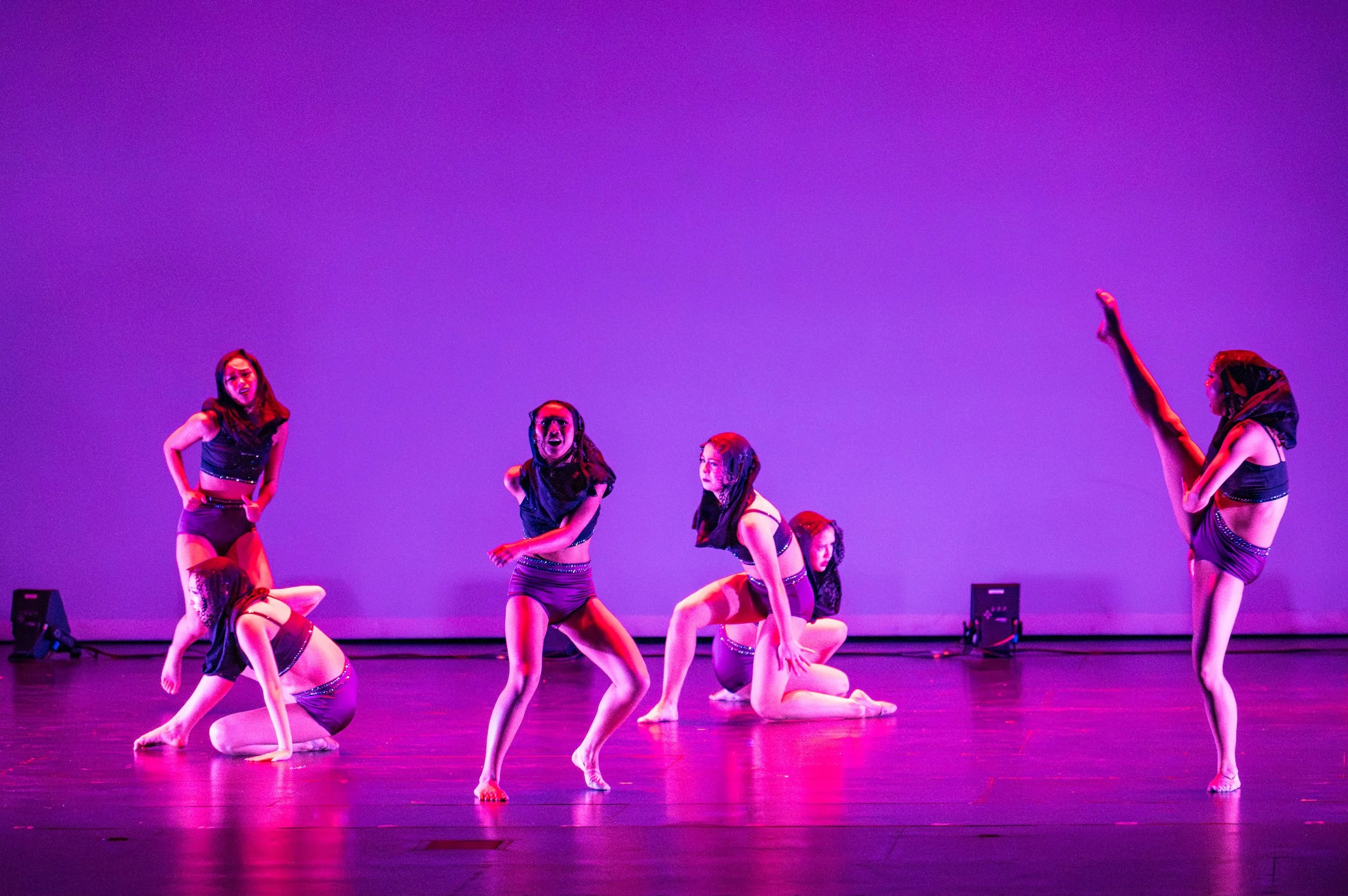 VAPA Dance 2026-391.jpg