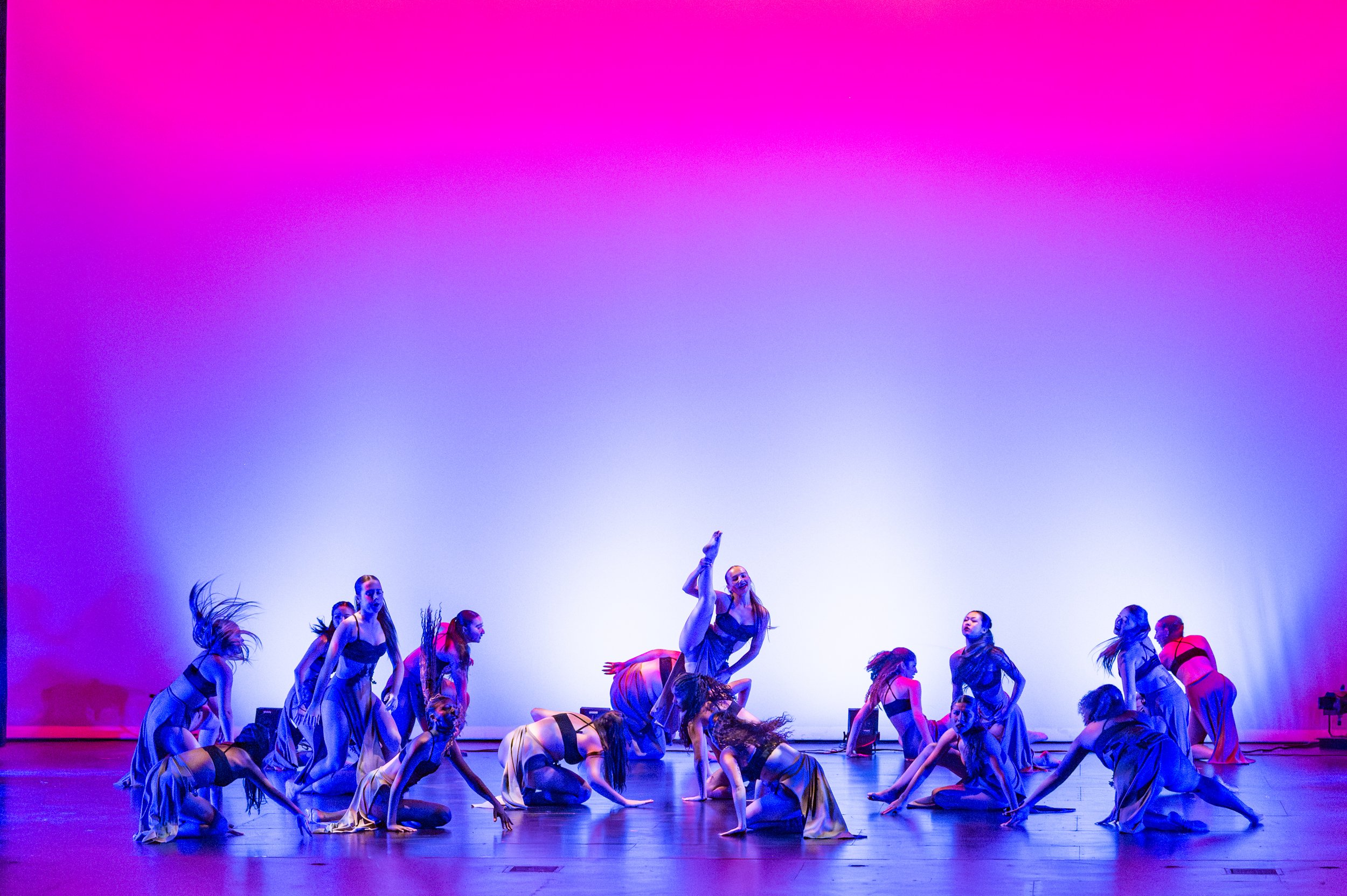 VAPA Dance 2026-417.jpg