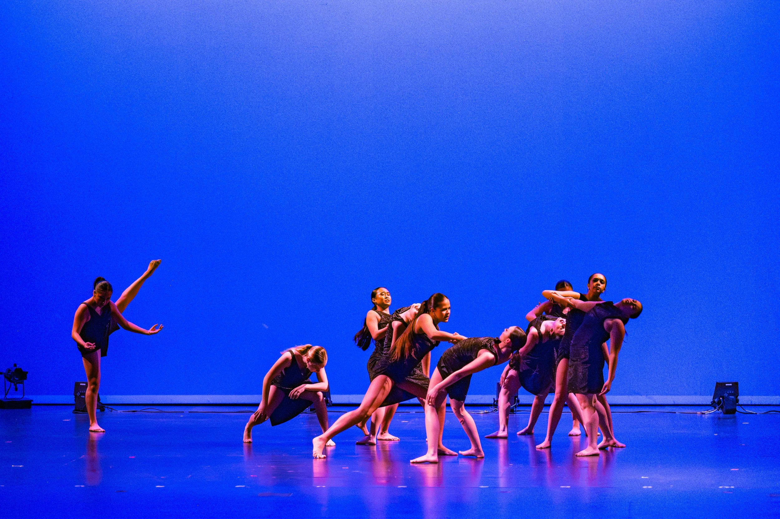 VAPA Dance 2026-467.jpg