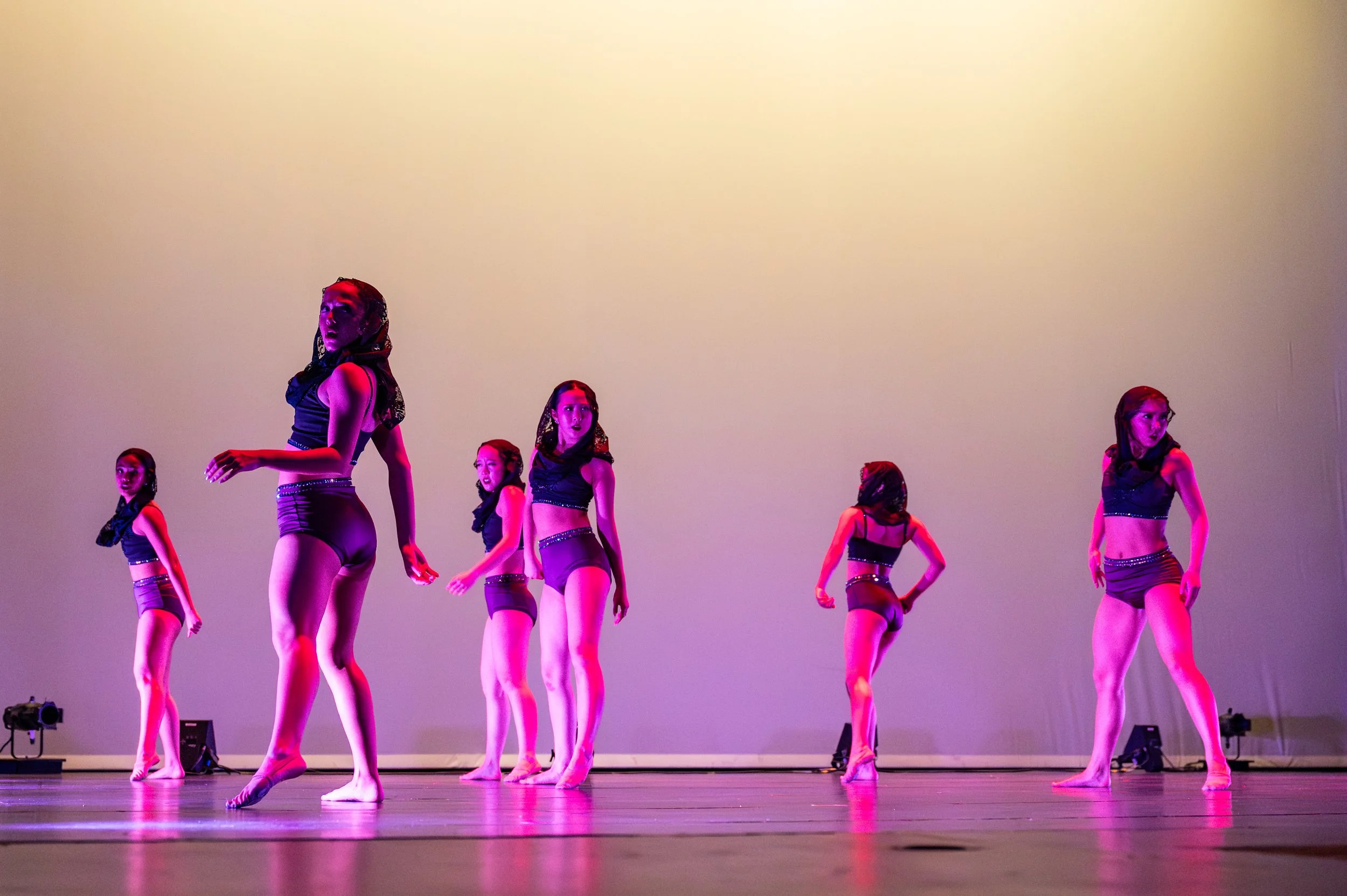 VAPA Dance 2026-383.jpg