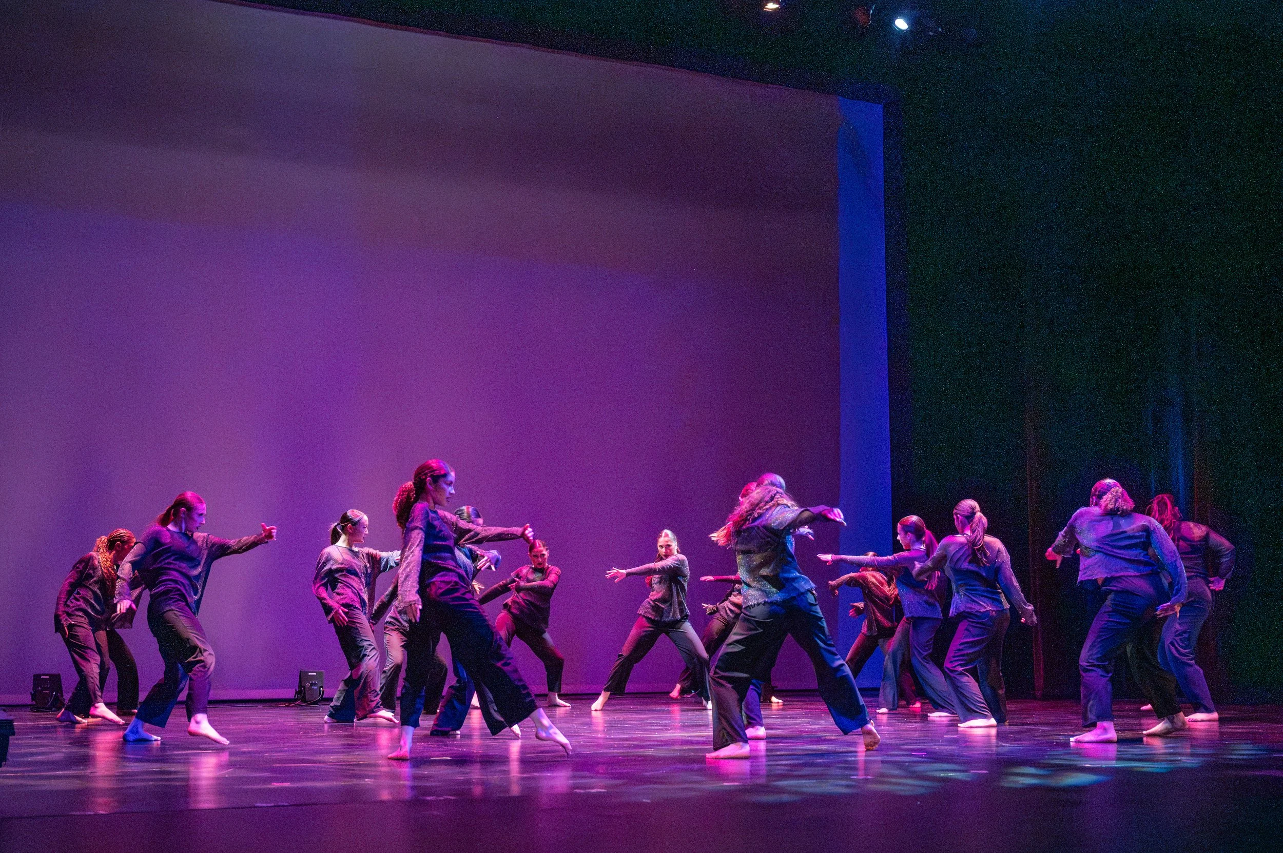 VAPA Dance 2026-113.jpg