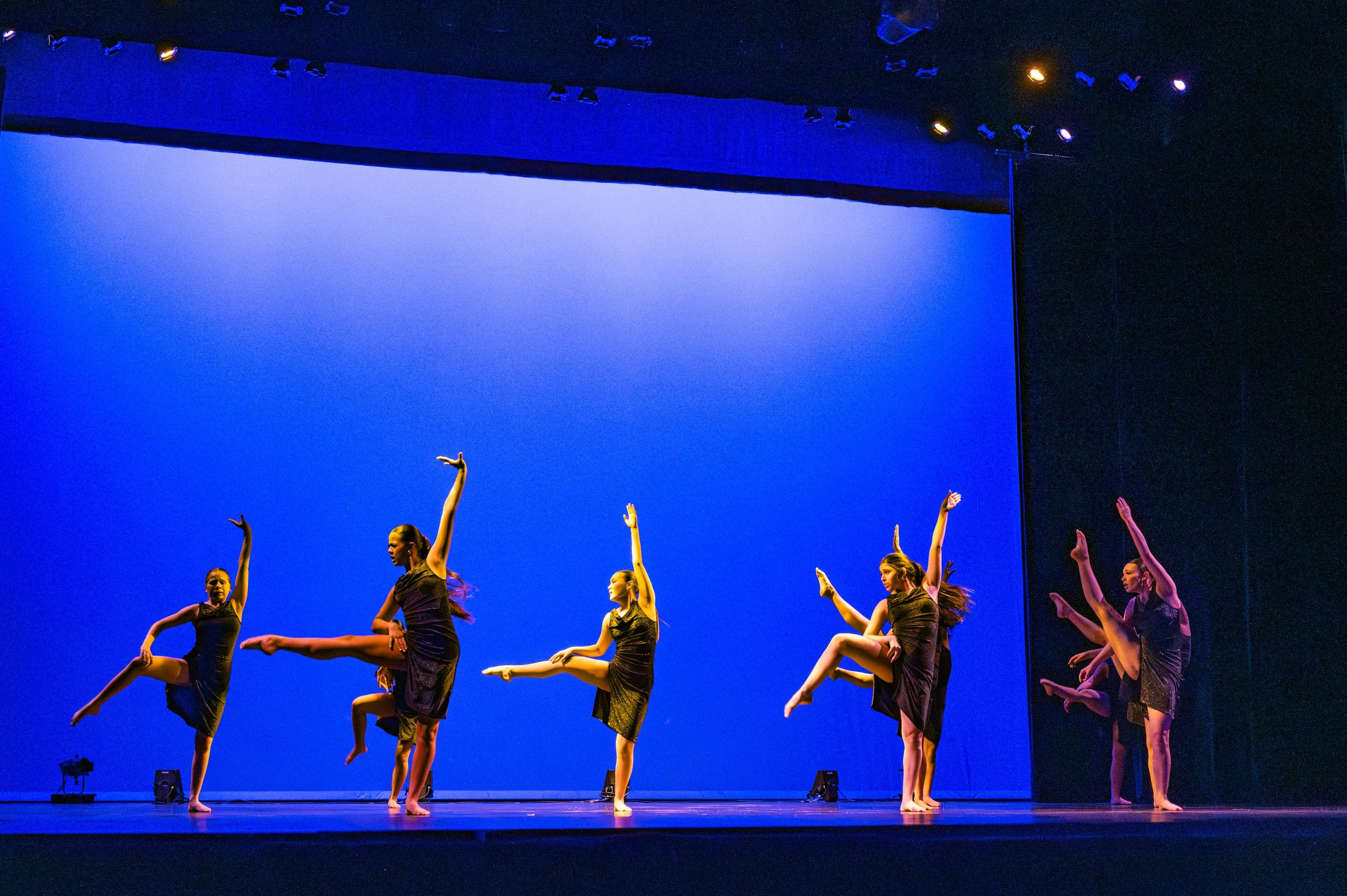 VAPA Dance 2026-463.jpg