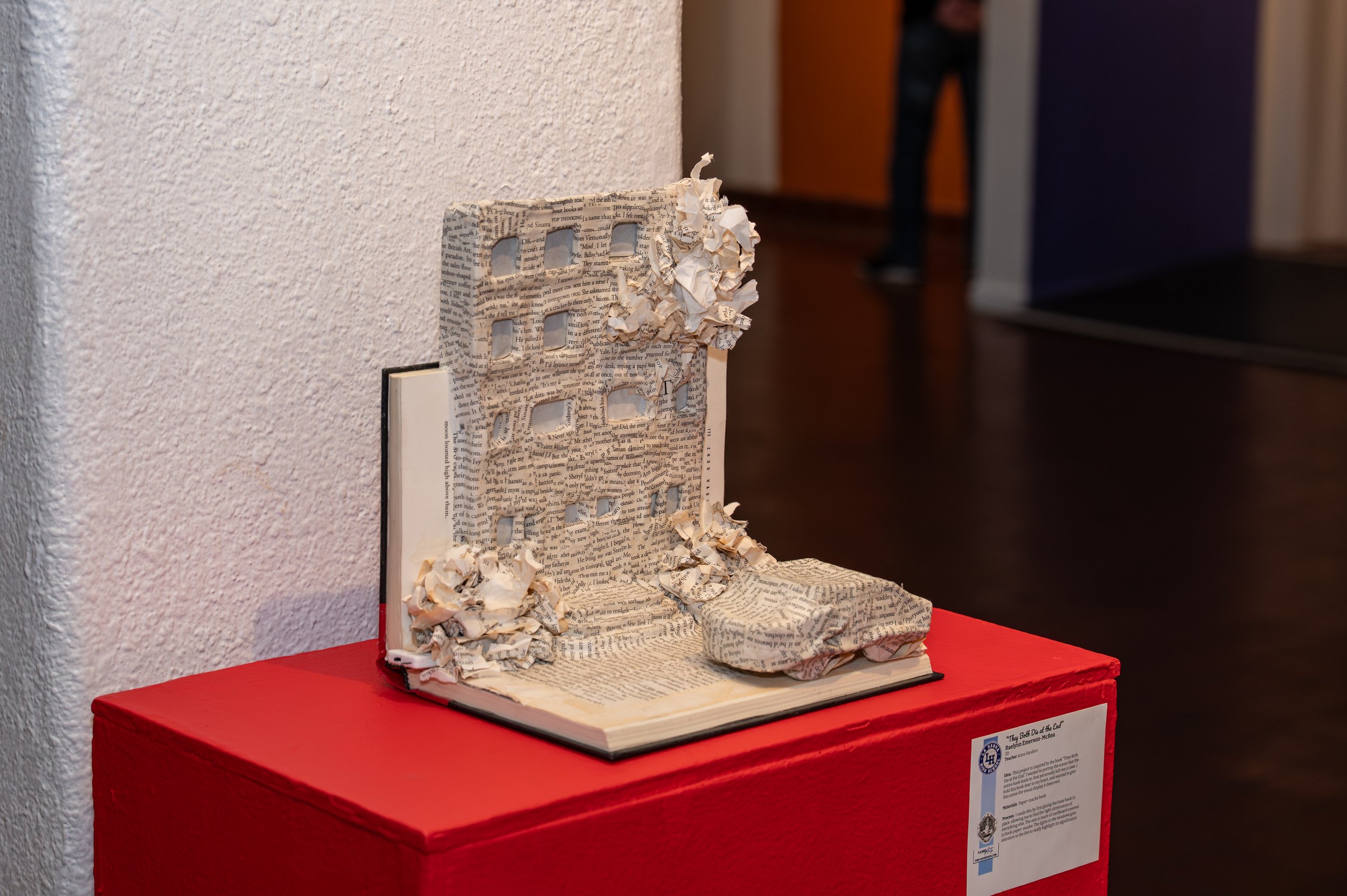 VAPA Visual Arts 2026-1.jpg