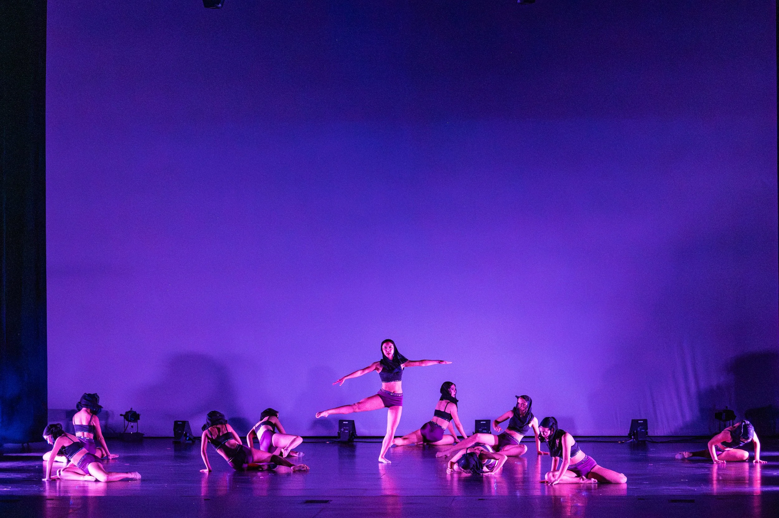 VAPA Dance 2026-385.jpg