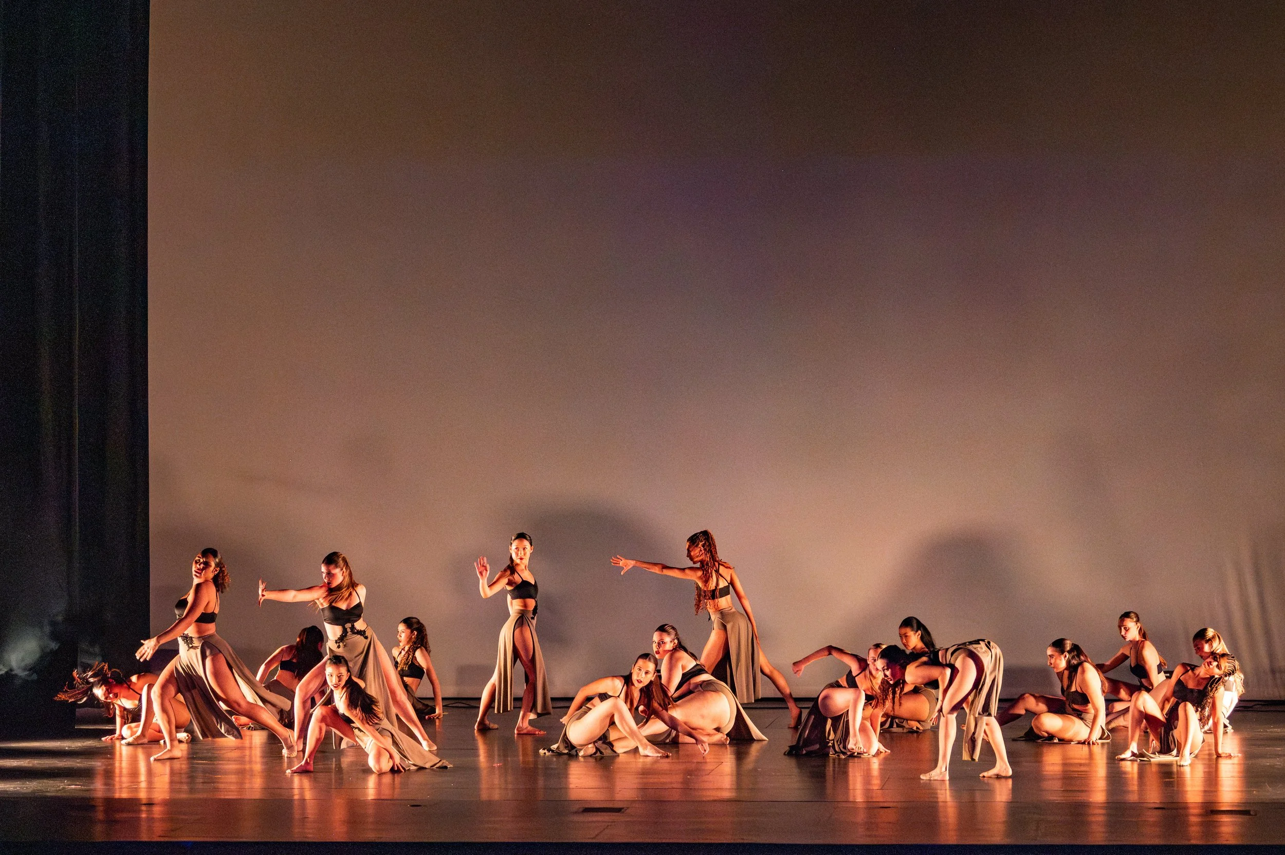 VAPA Dance 2026-414.jpg