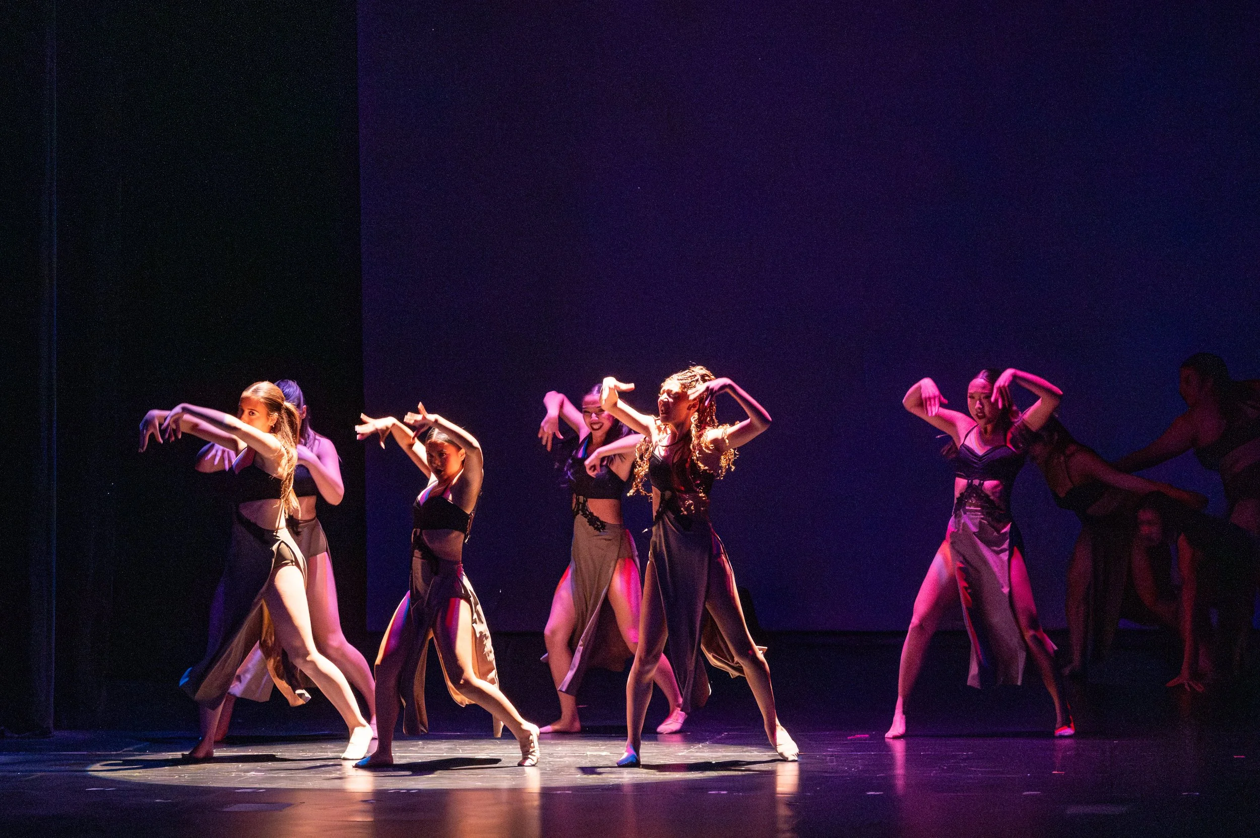 VAPA Dance 2026-416.jpg