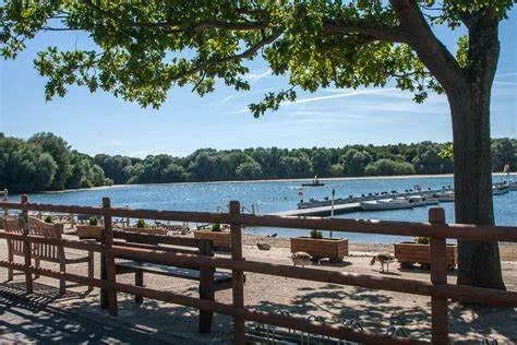 Hanningfield Reservoir
