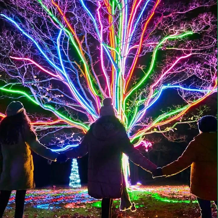 Christmas at Wimpole Hall